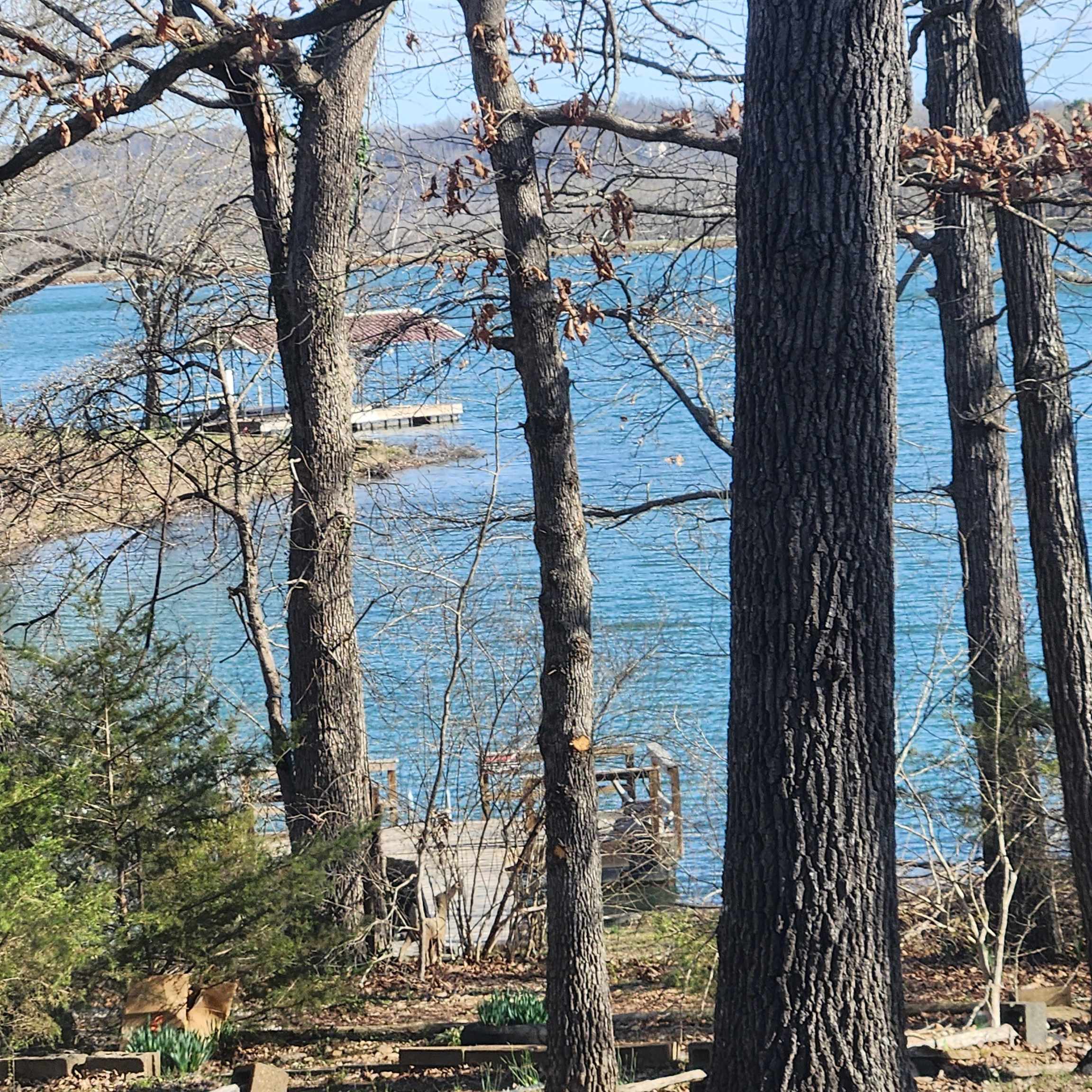  W Lakeshore  Cherokee Village, AR