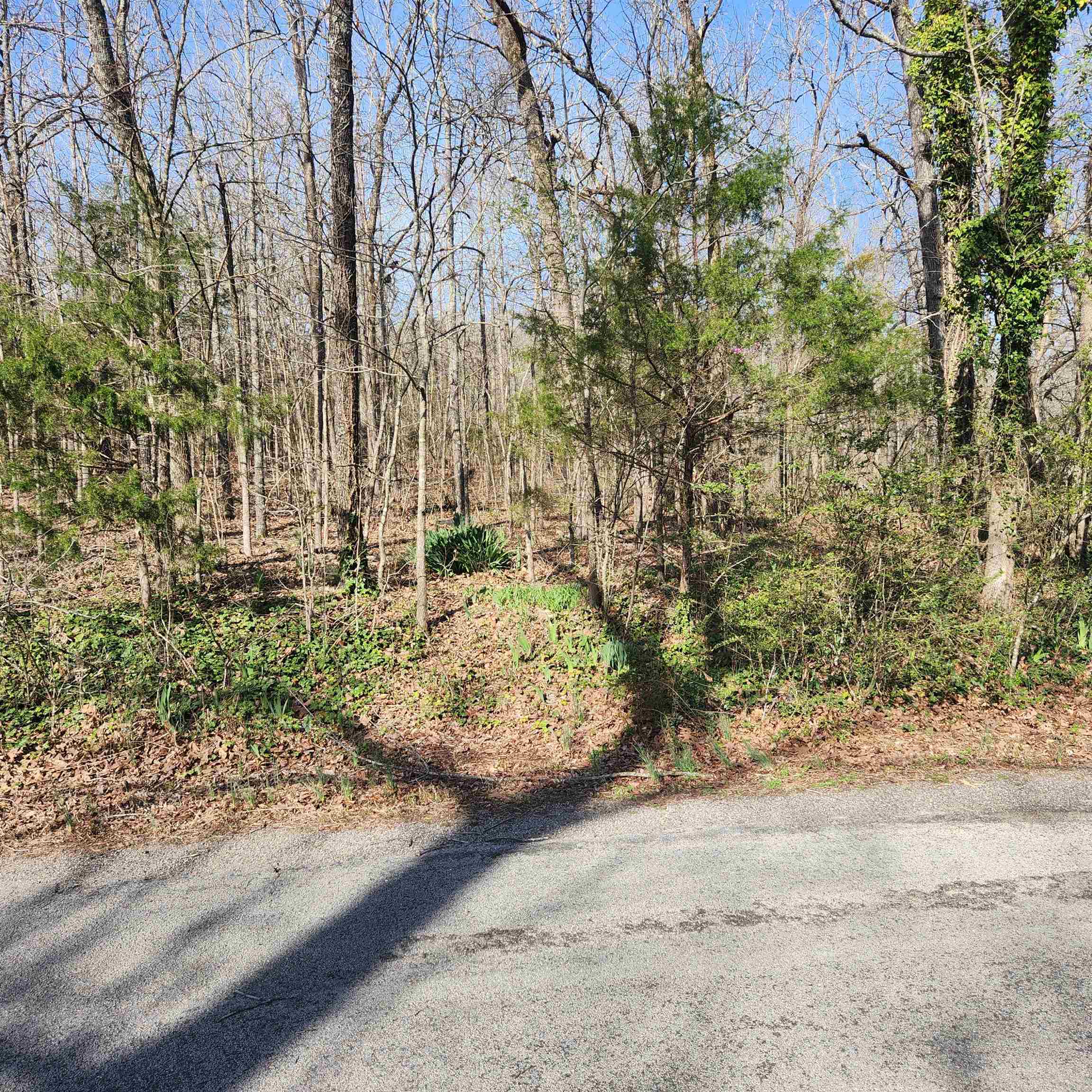  W Lakeshore  Cherokee Village, AR