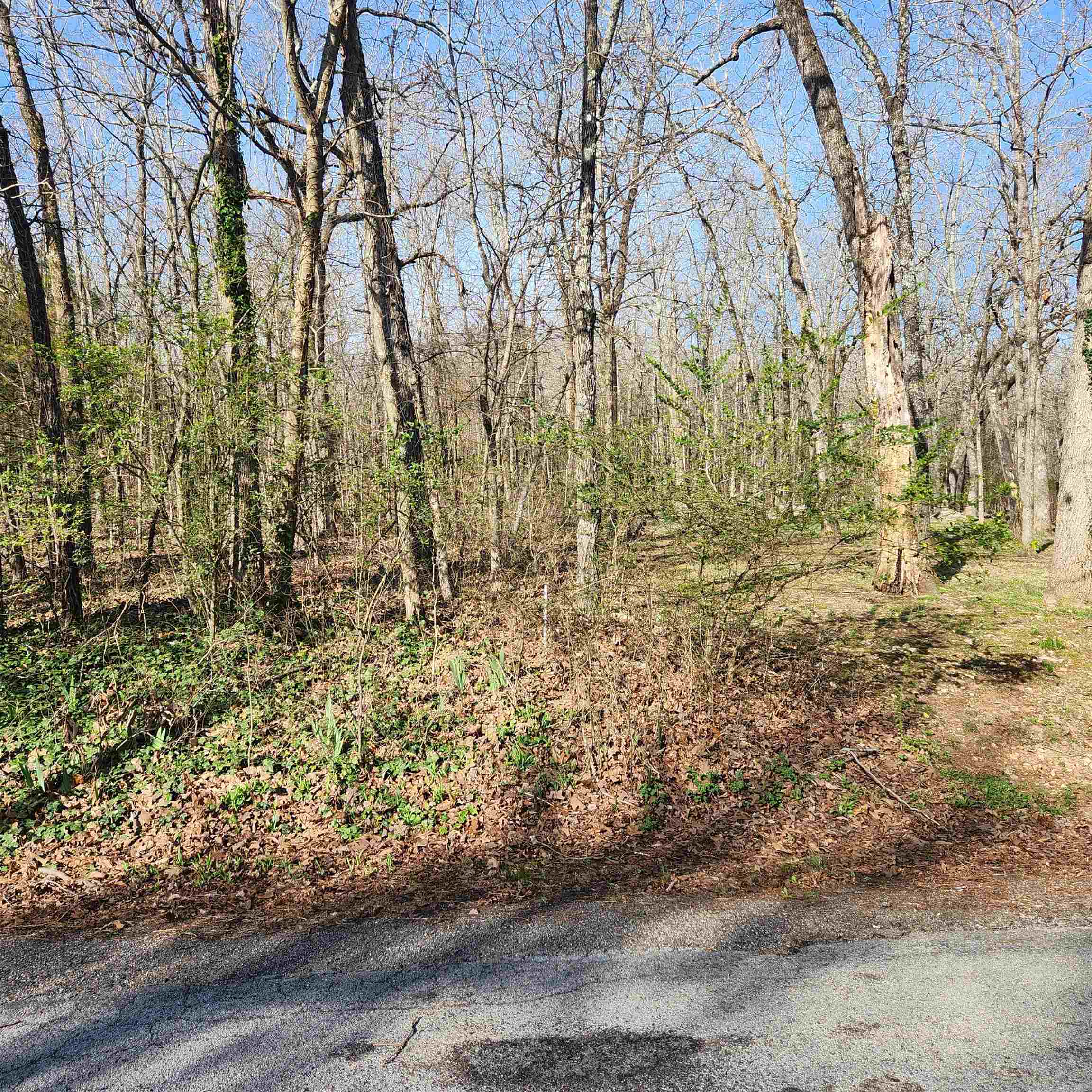  W Lakeshore  Cherokee Village, AR