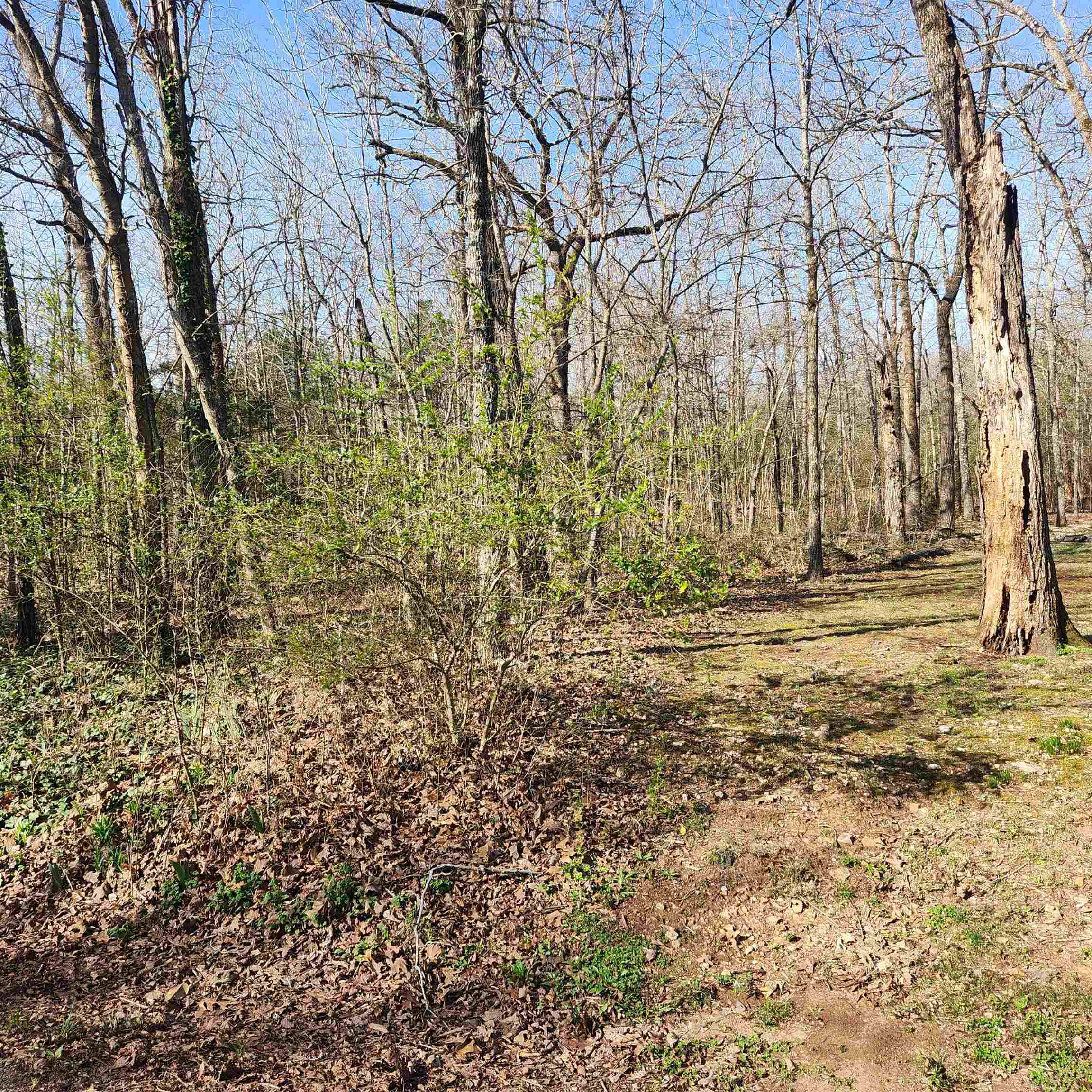  W Lakeshore  Cherokee Village, AR