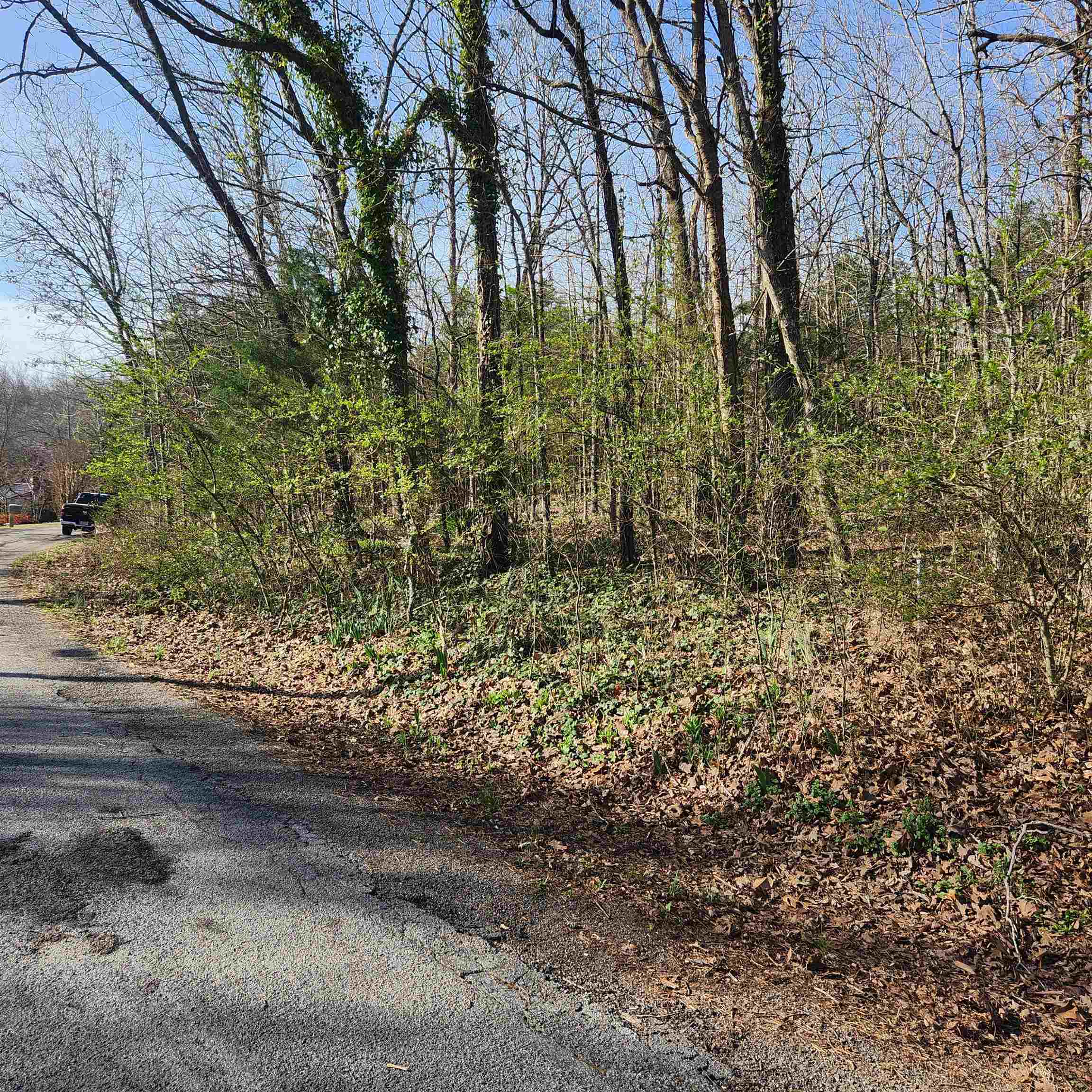  W Lakeshore  Cherokee Village, AR