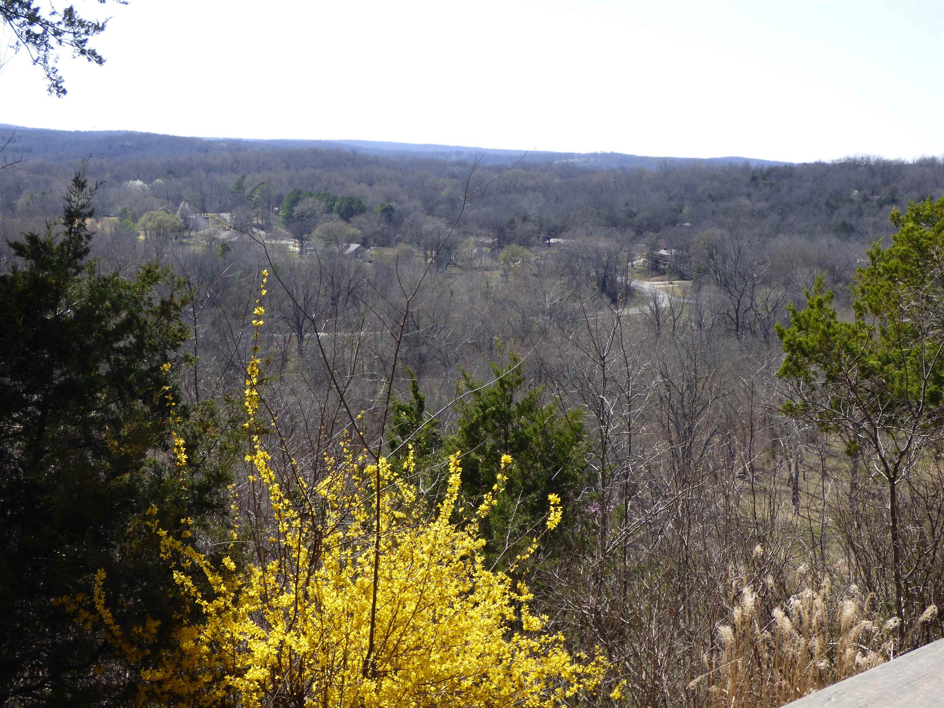 7 Cochise Circle Cherokee Village, AR 72529