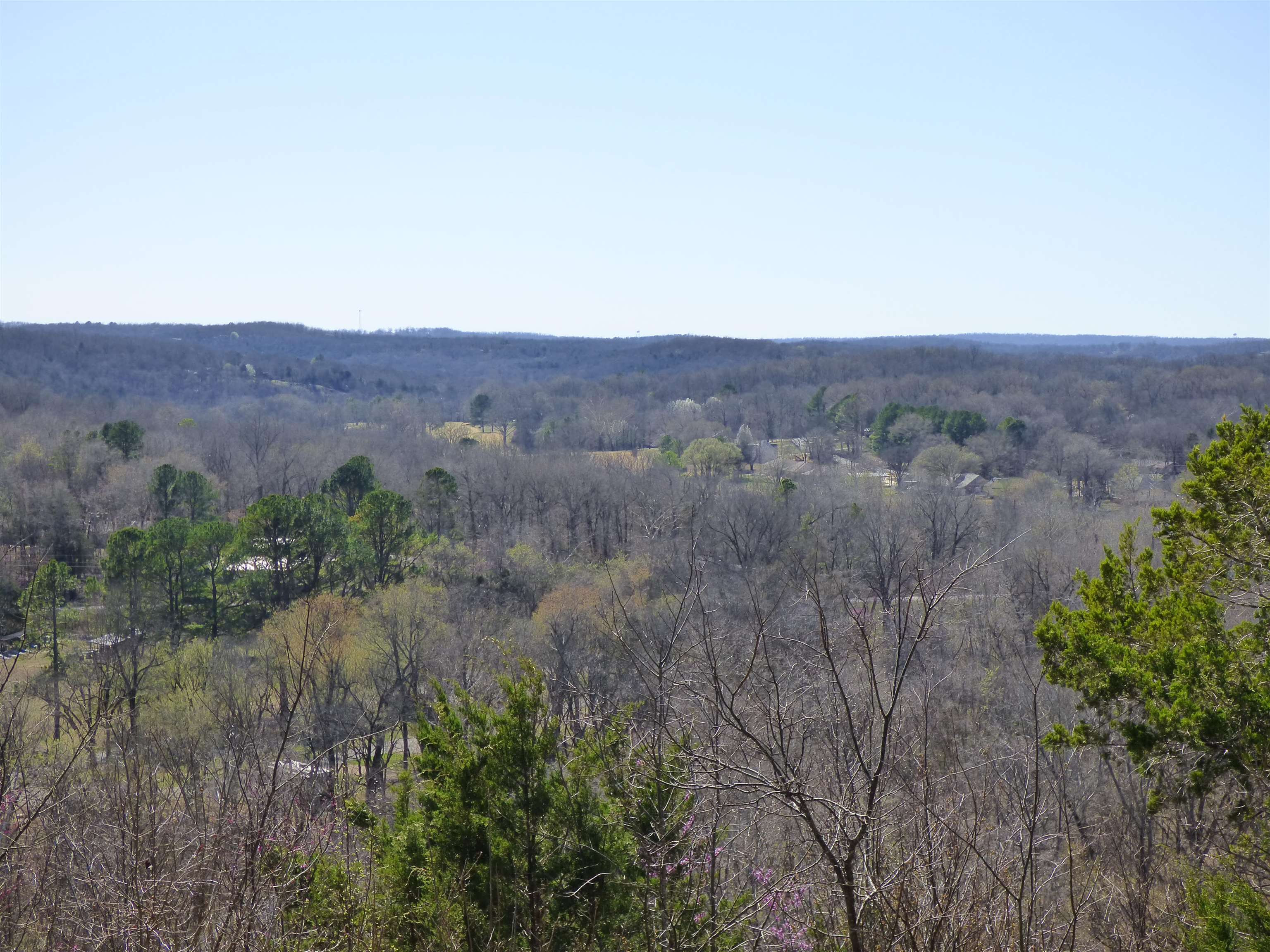 7 Cochise Circle Cherokee Village, AR 72529