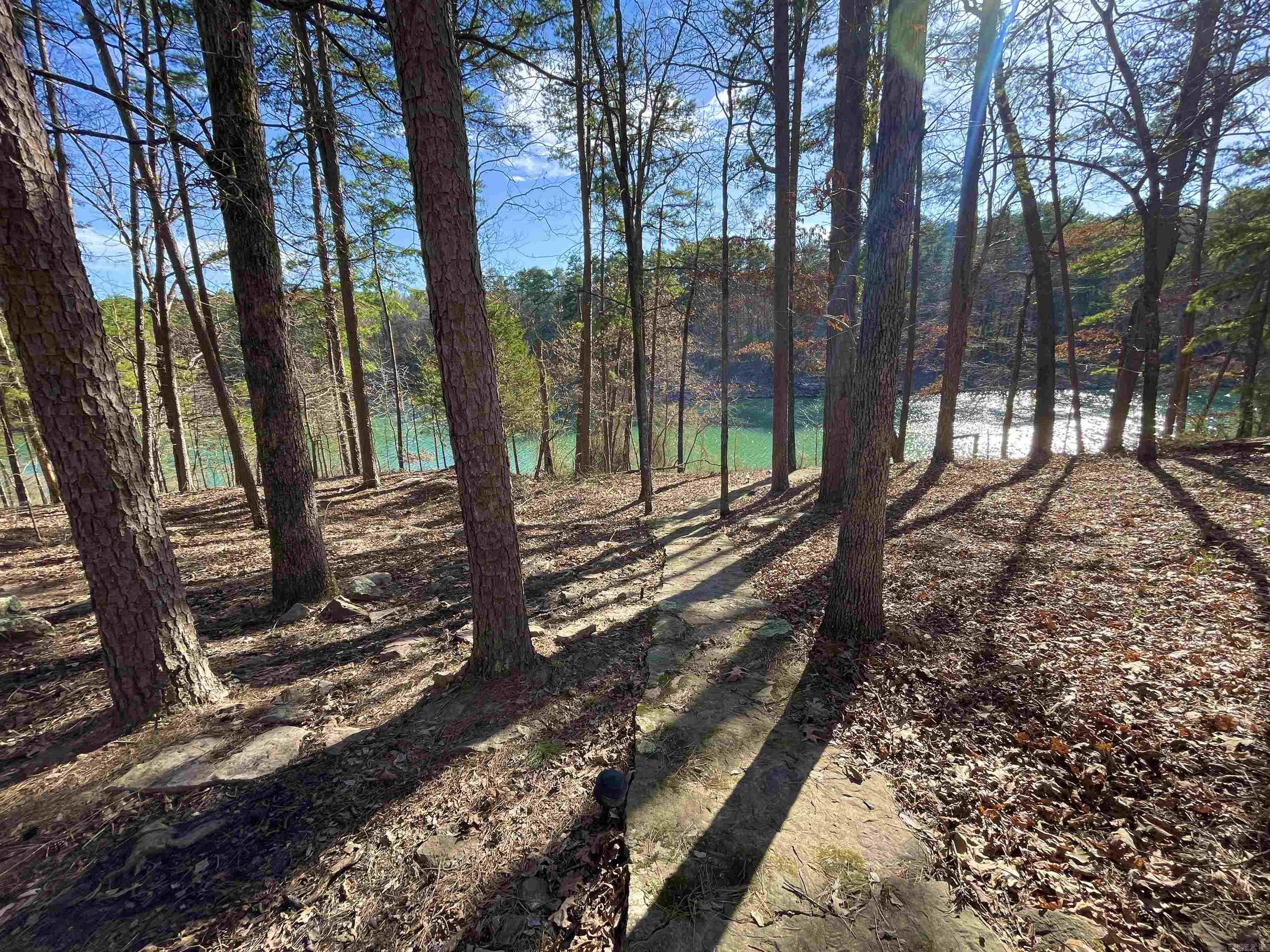 50 Brittany Cove Drive Greers Ferry, AR 72067