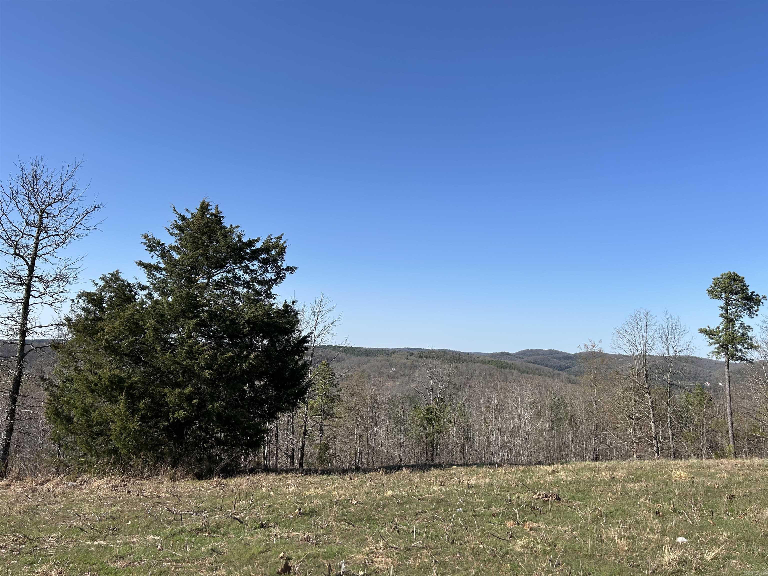 Tract 2  The Blessing 3.47 acres Deitrick Drive Mountain View, AR