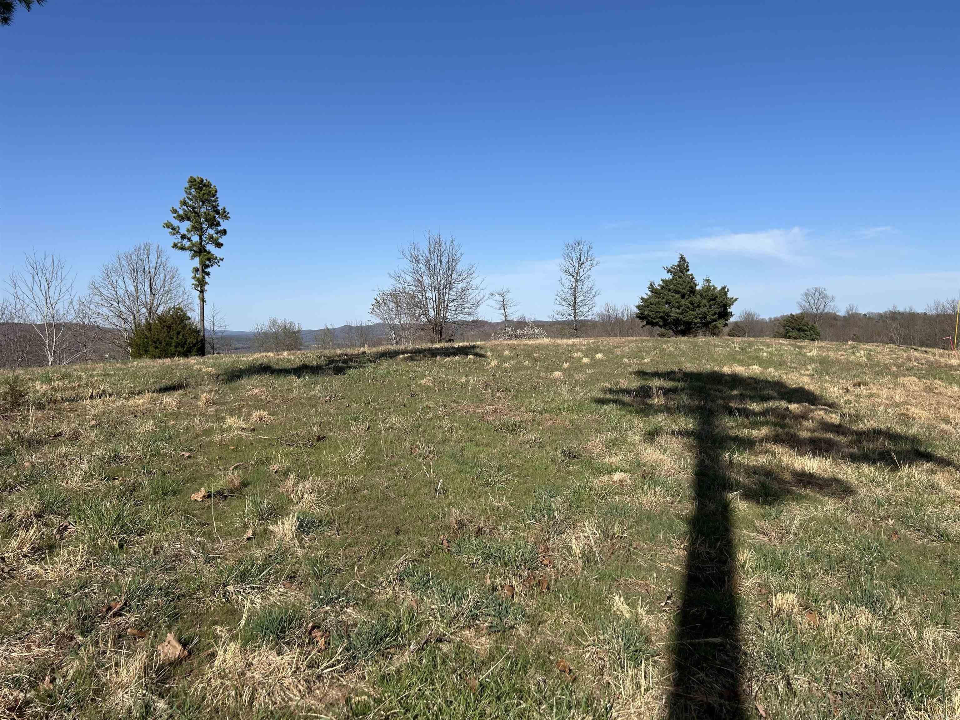 Tract 2  The Blessing 3.47 acres Deitrick Drive Mountain View, AR