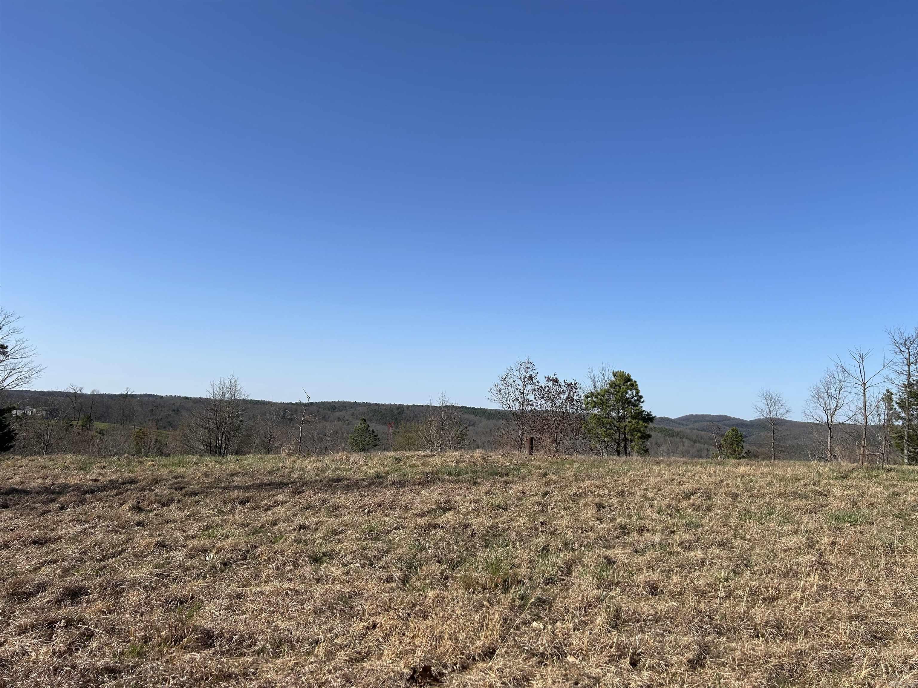 Tract 2  The Blessing 3.47 acres Deitrick Drive Mountain View, AR