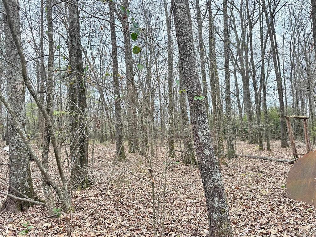 TBD  Pioneer Lane West LOT #5 LOT #5 Hatfield, AR
