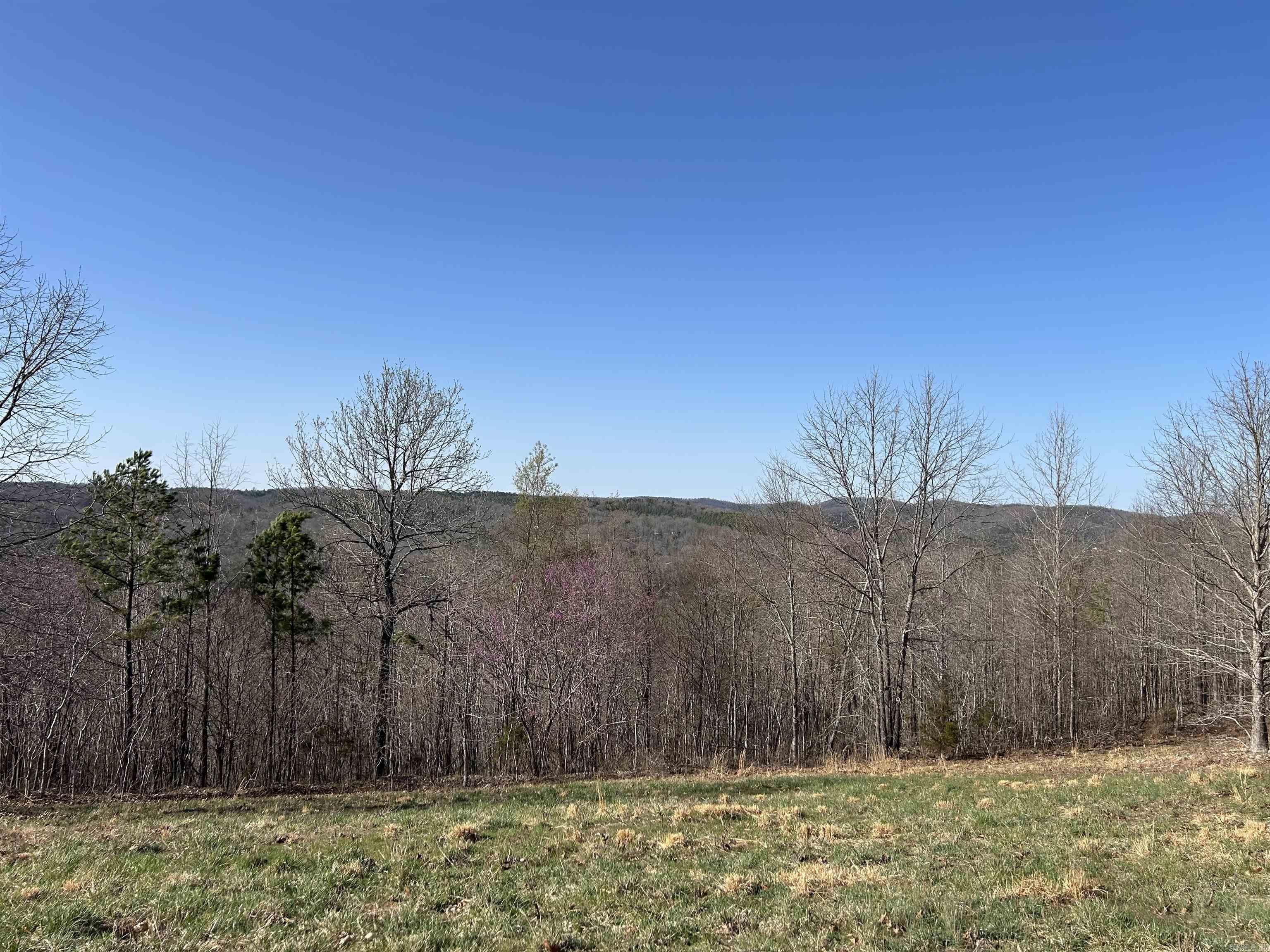 Tract 5  The Blessing 3.22 acres Deitrick Drive Mountain View, AR