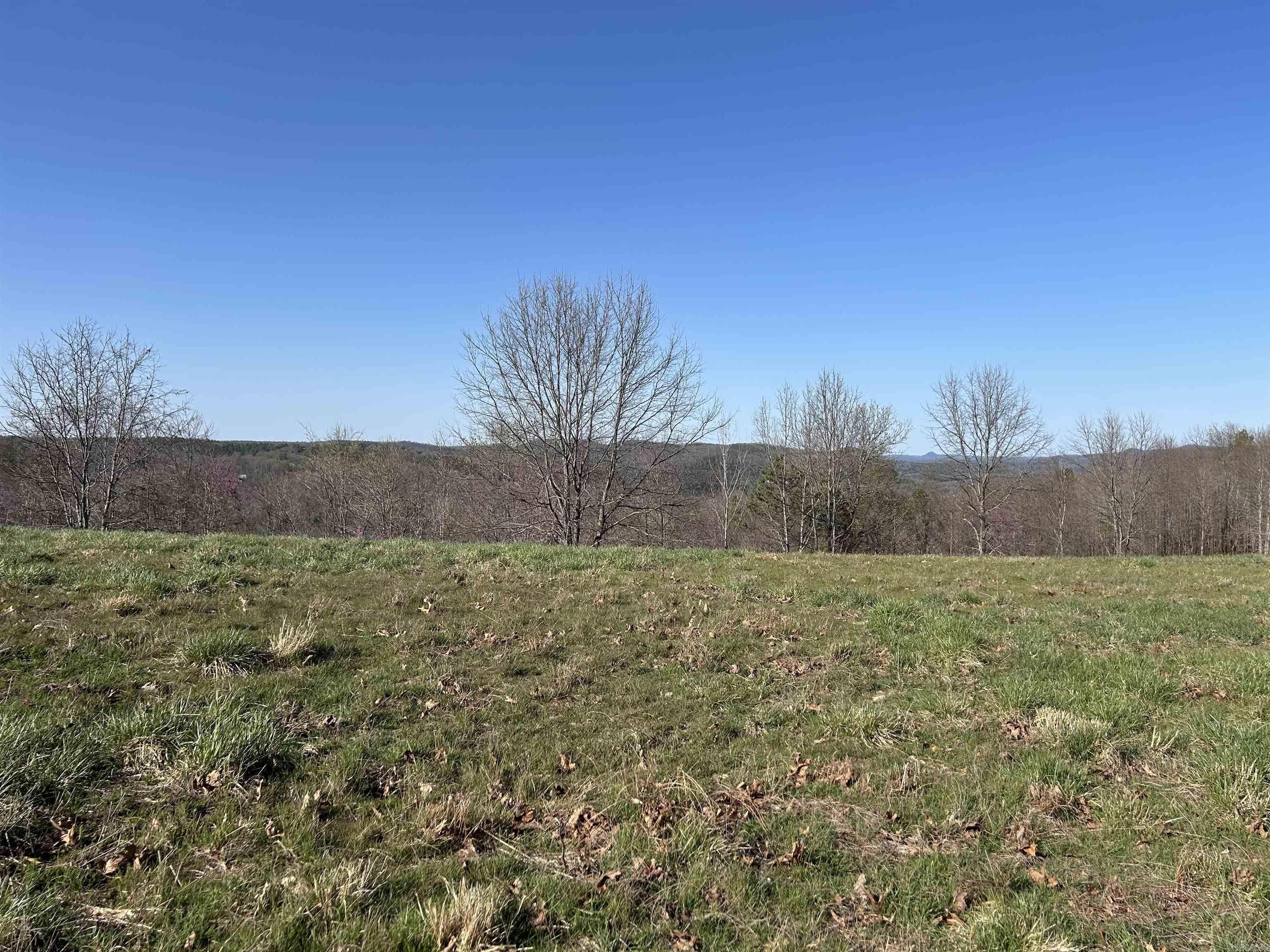 Tract 5  The Blessing 3.22 acres Deitrick Drive Mountain View, AR