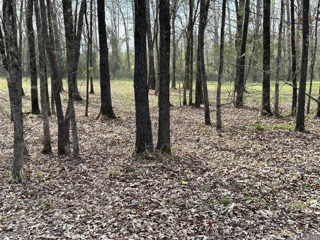 TBD  Pioneer Lane West LOT #9 Hatfield, AR