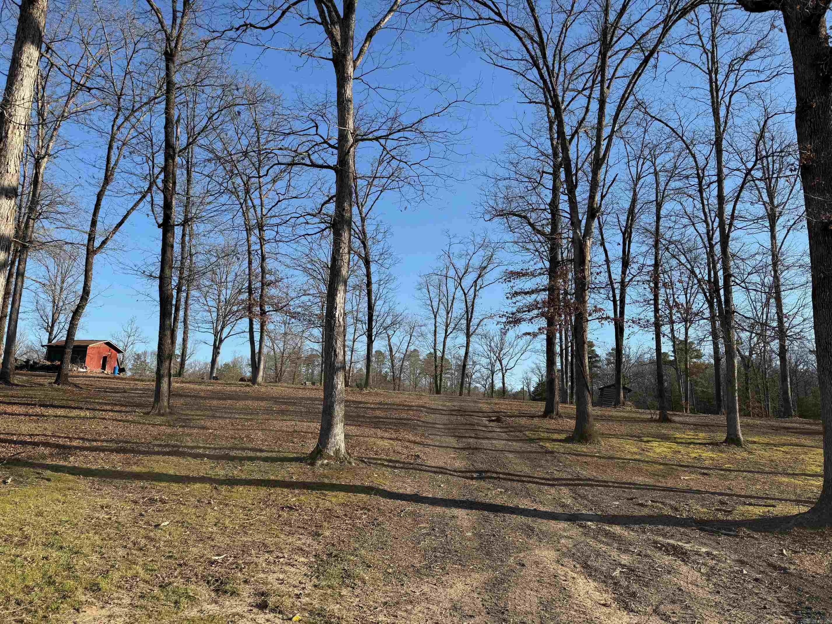 TBD  Hwy 71 LOT #1 LOT #1 Iron Mountain Mena, AR