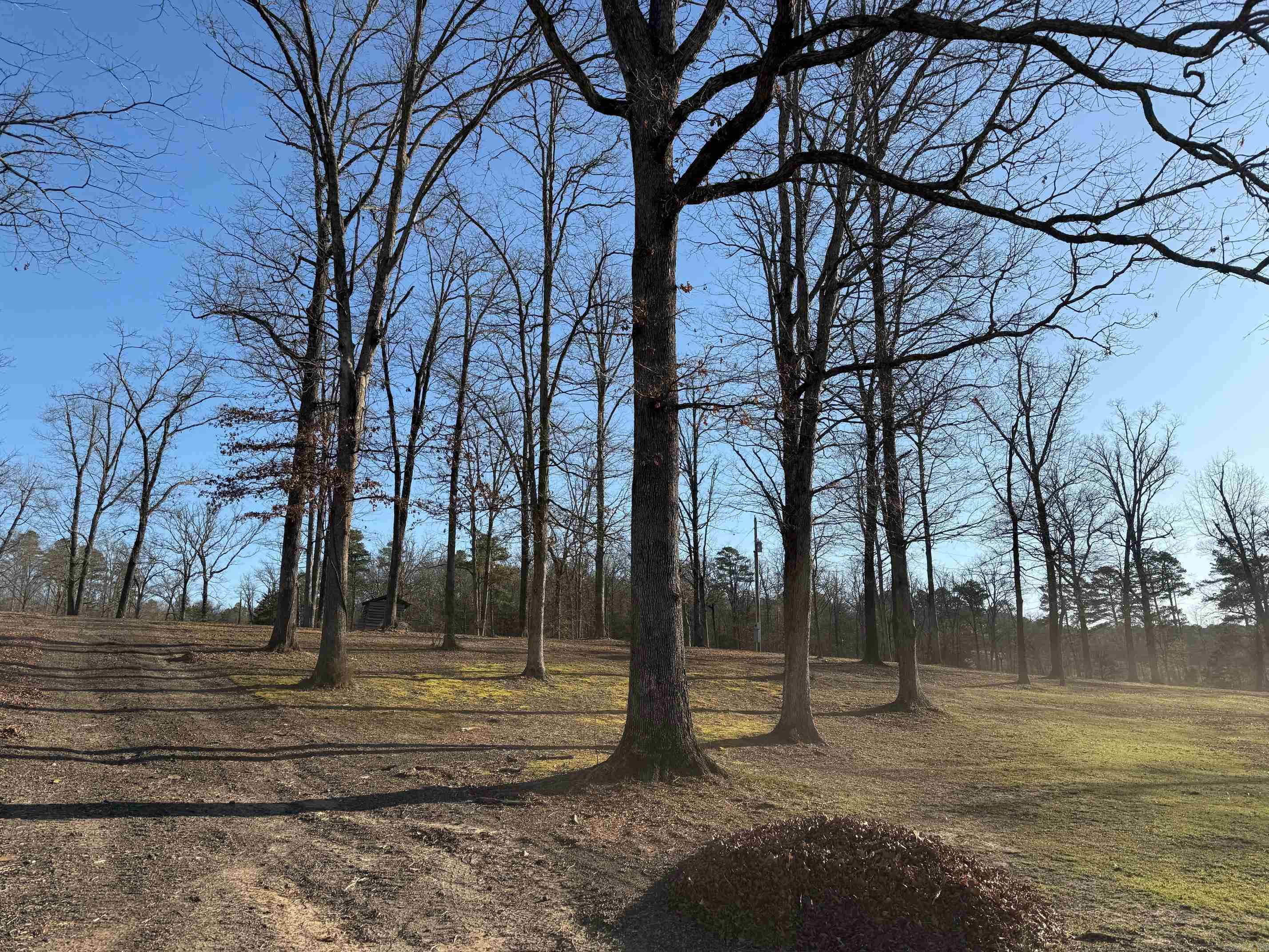TBD  Hwy 71 LOT #1 LOT #1 Iron Mountain Mena, AR