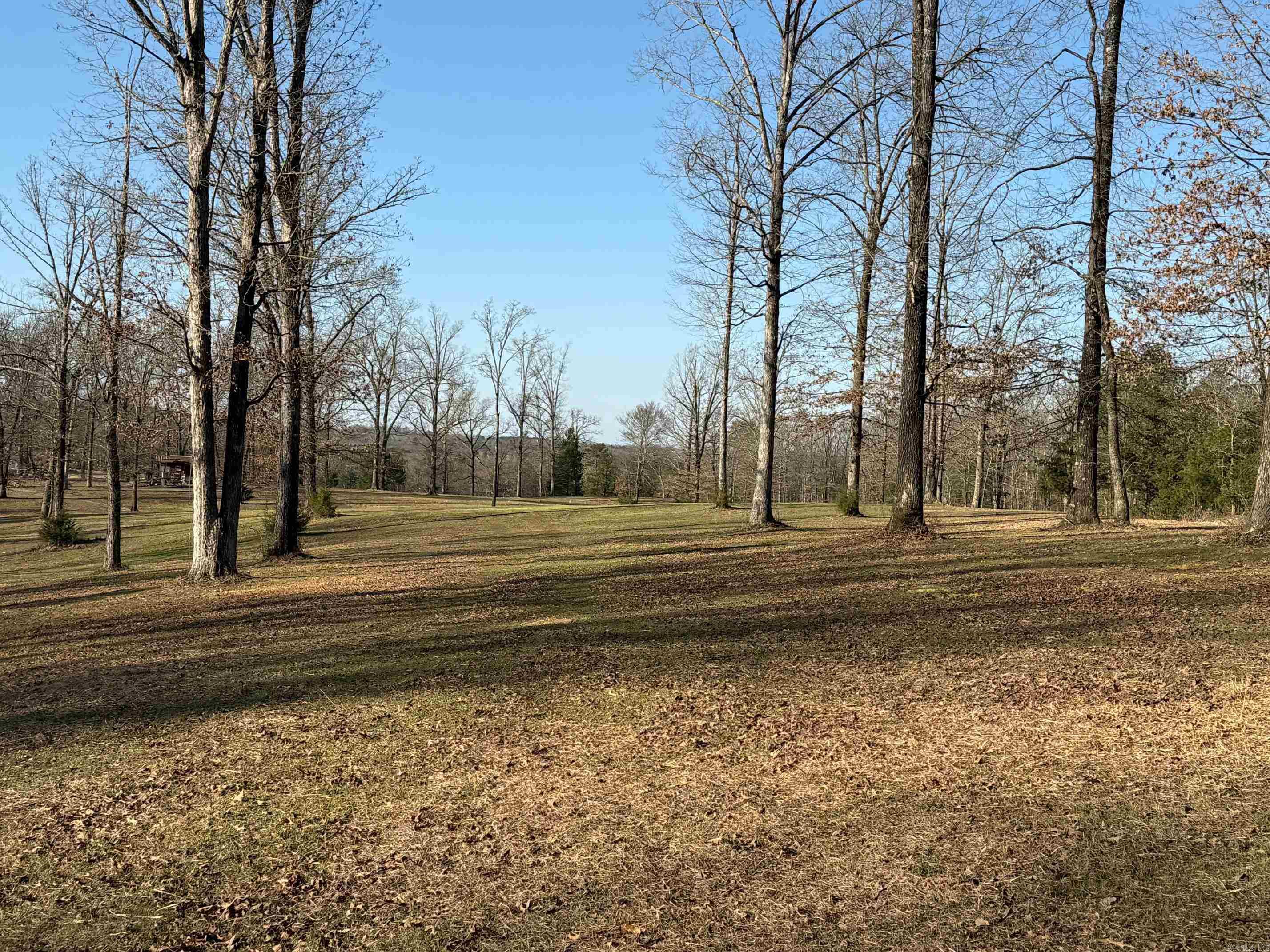 TBD  Polk Road 168 LOT #4 LOT #4 Iron Mountain Estates Mena, AR