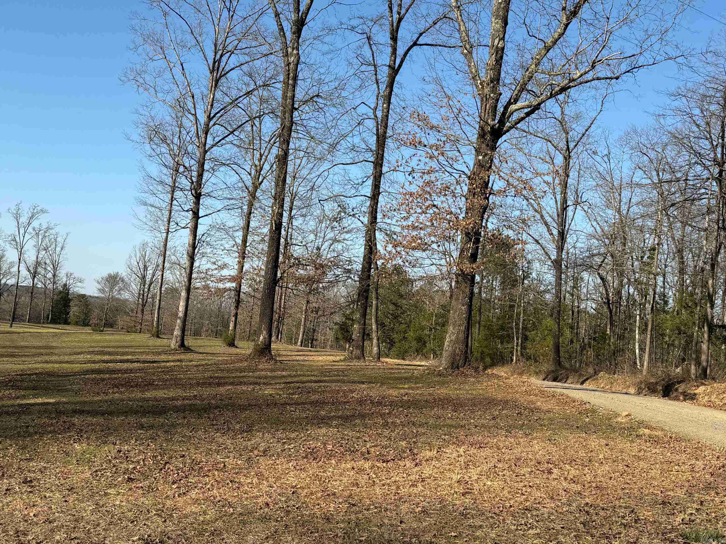 TBD  Polk Road 168 LOT #4 LOT #4 Iron Mountain Estates Mena, AR