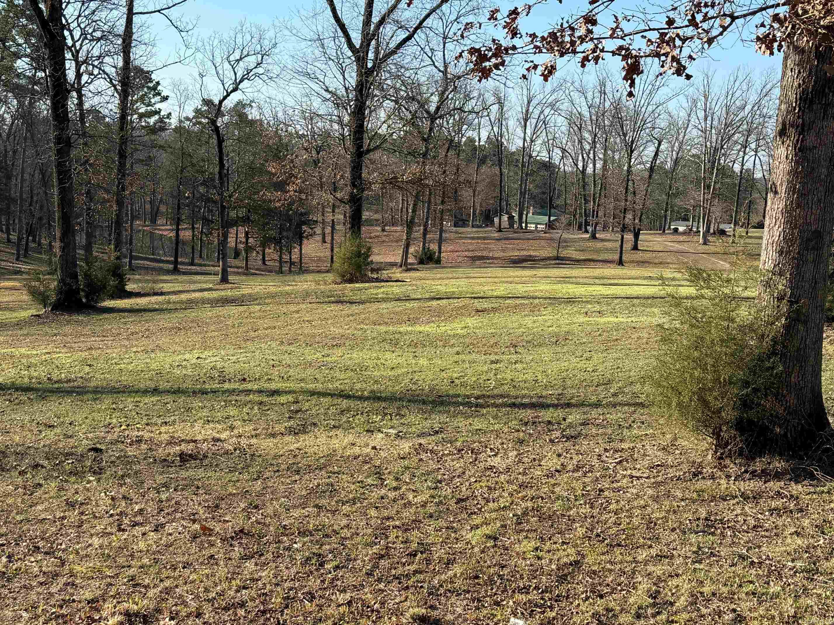 TBD  Polk Road 168 LOT #4 LOT #4 Iron Mountain Estates Mena, AR
