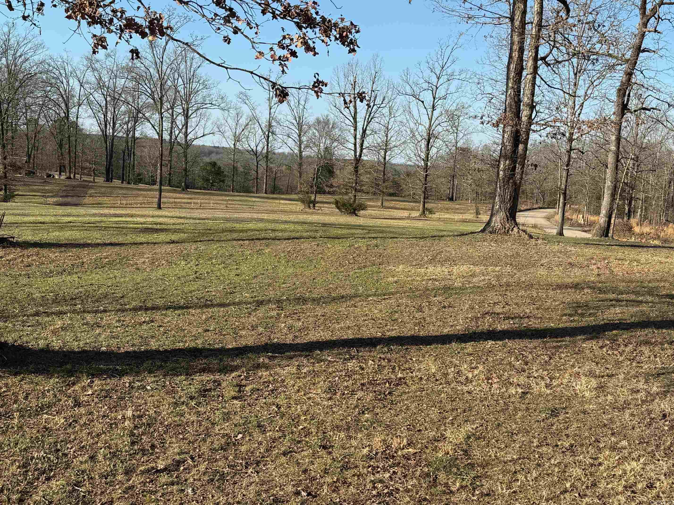 TBD  Polk Road 168 LOT #4 LOT #4 Iron Mountain Estates Mena, AR