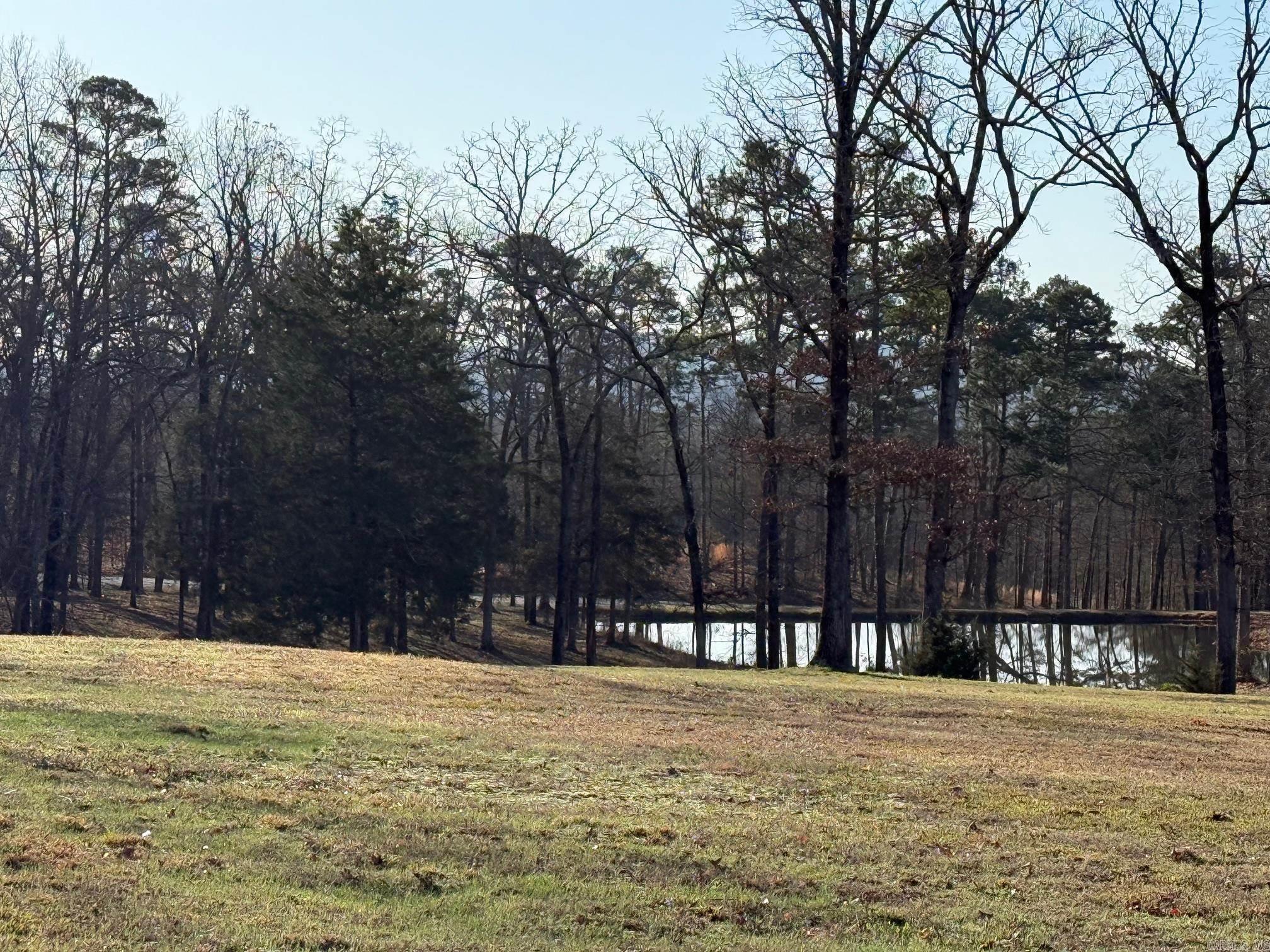 TBD  Polk Road 168 LOT #4 LOT #4 Iron Mountain Estates Mena, AR