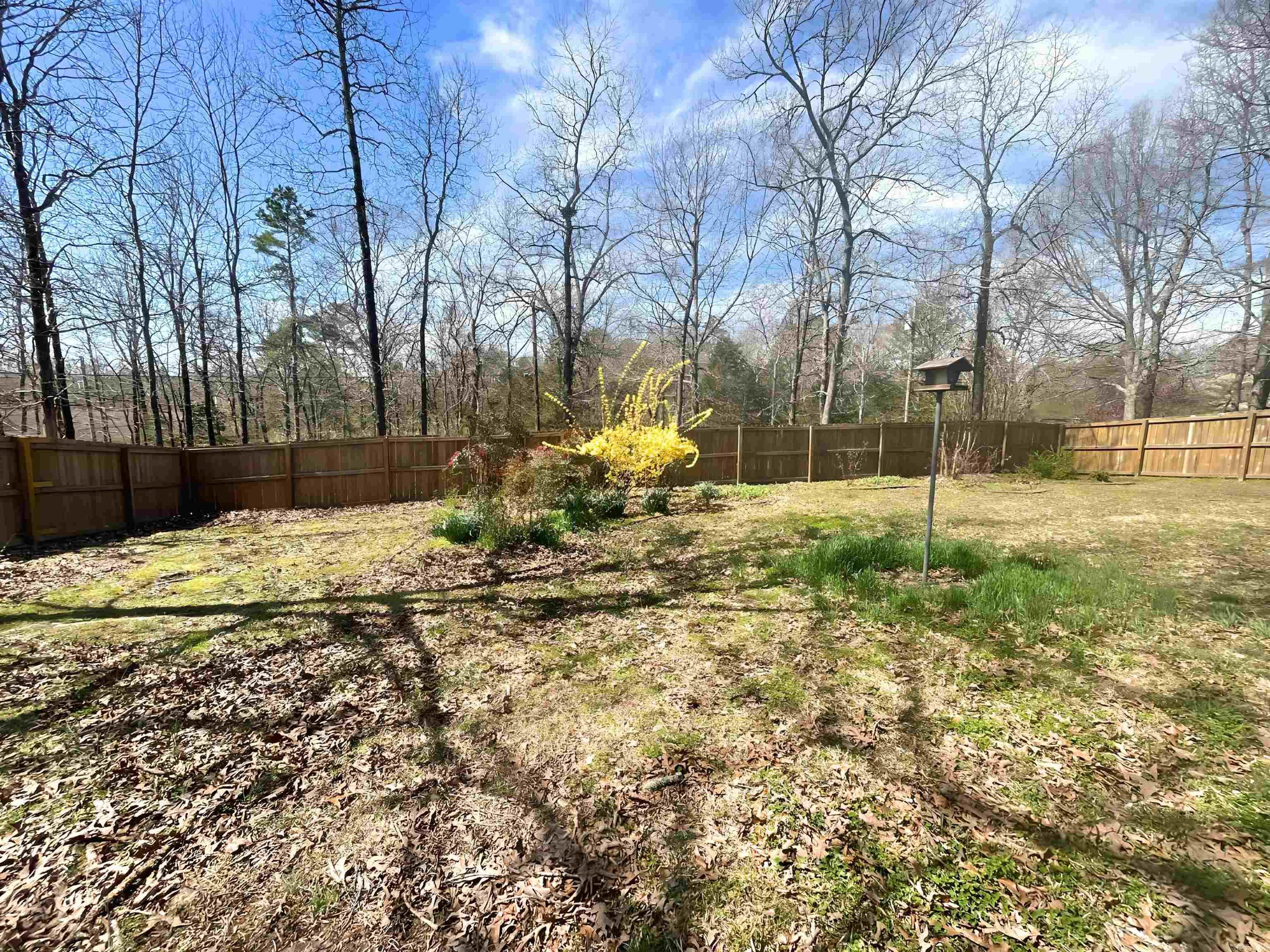 2203  Cordie Dr.  Mena, AR