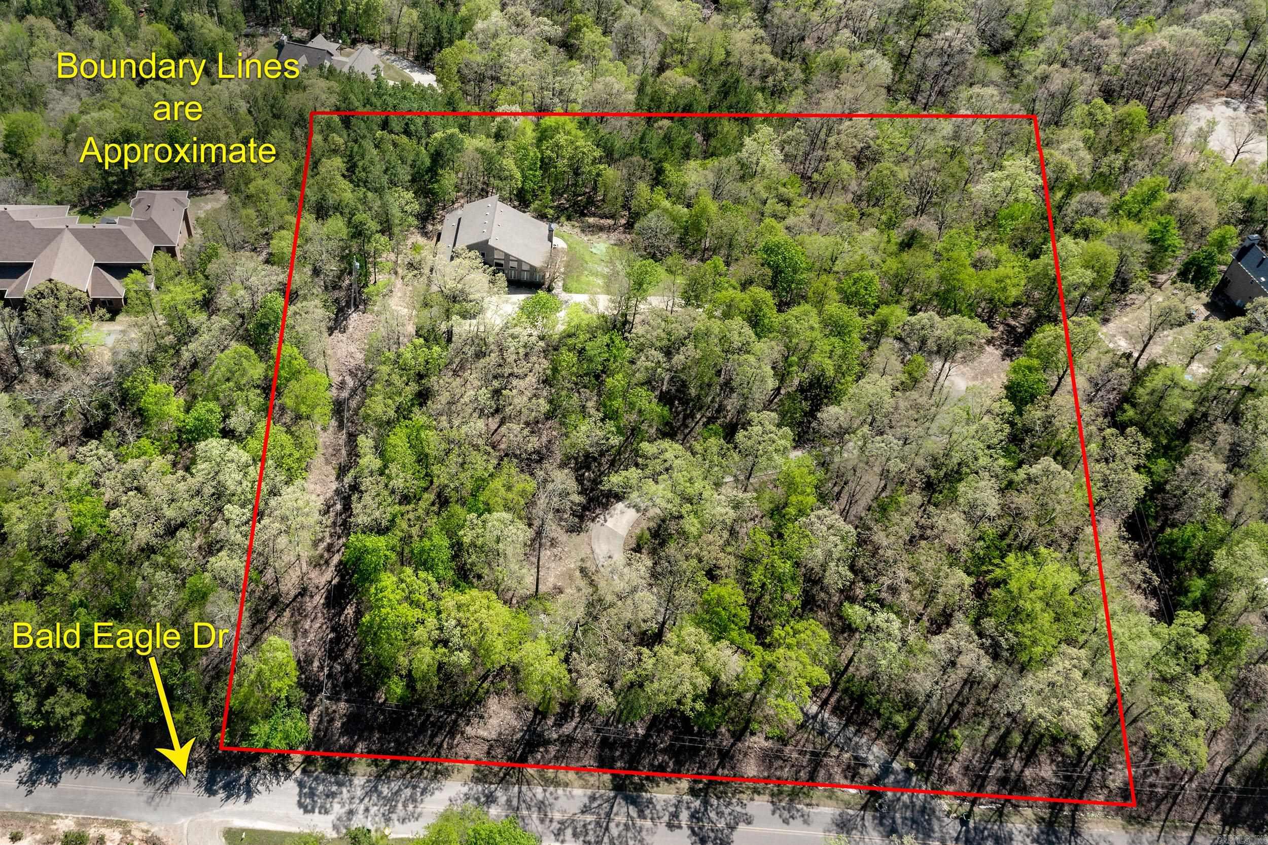 46  Bald Eagle  Paron, AR