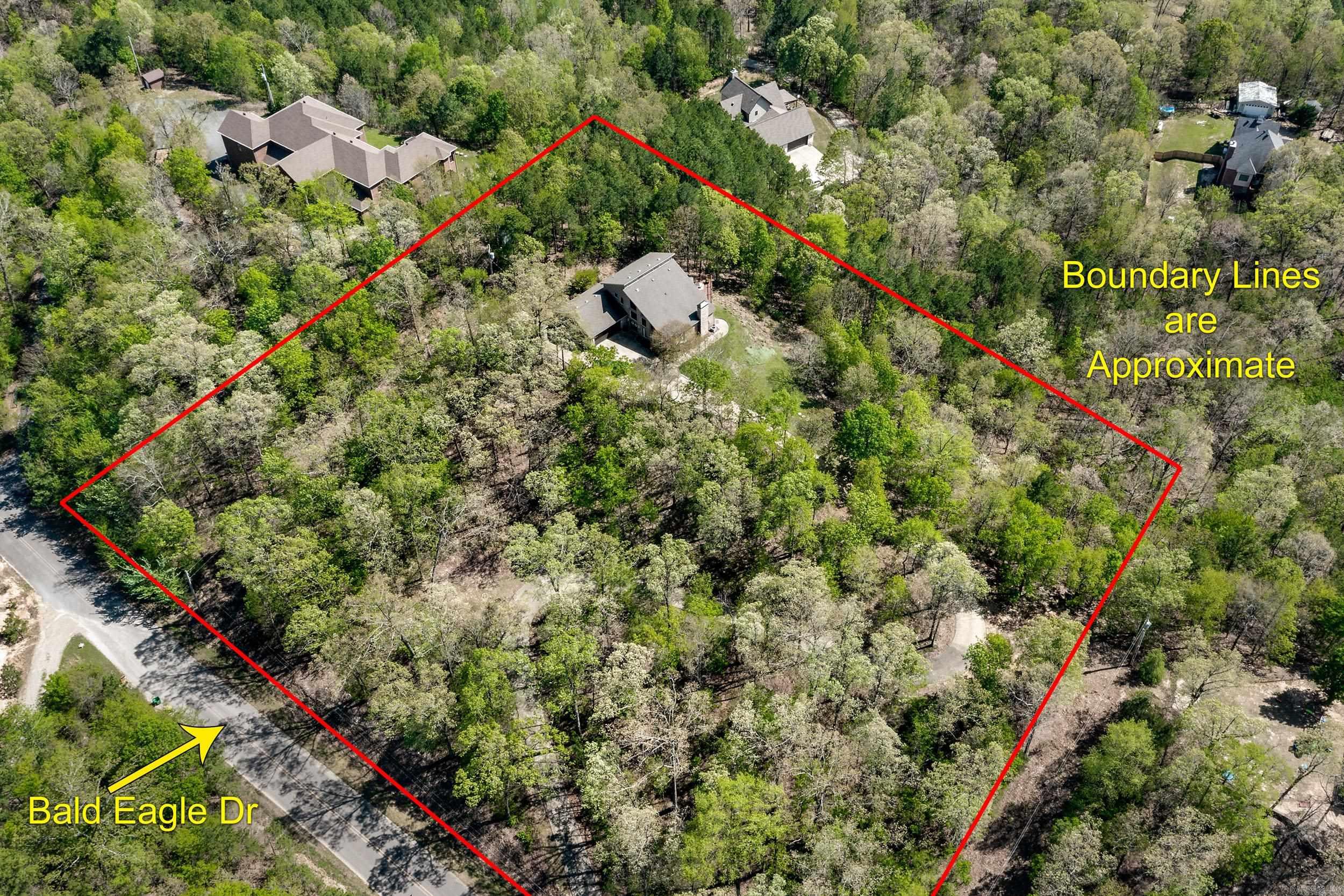 46  Bald Eagle  Paron, AR