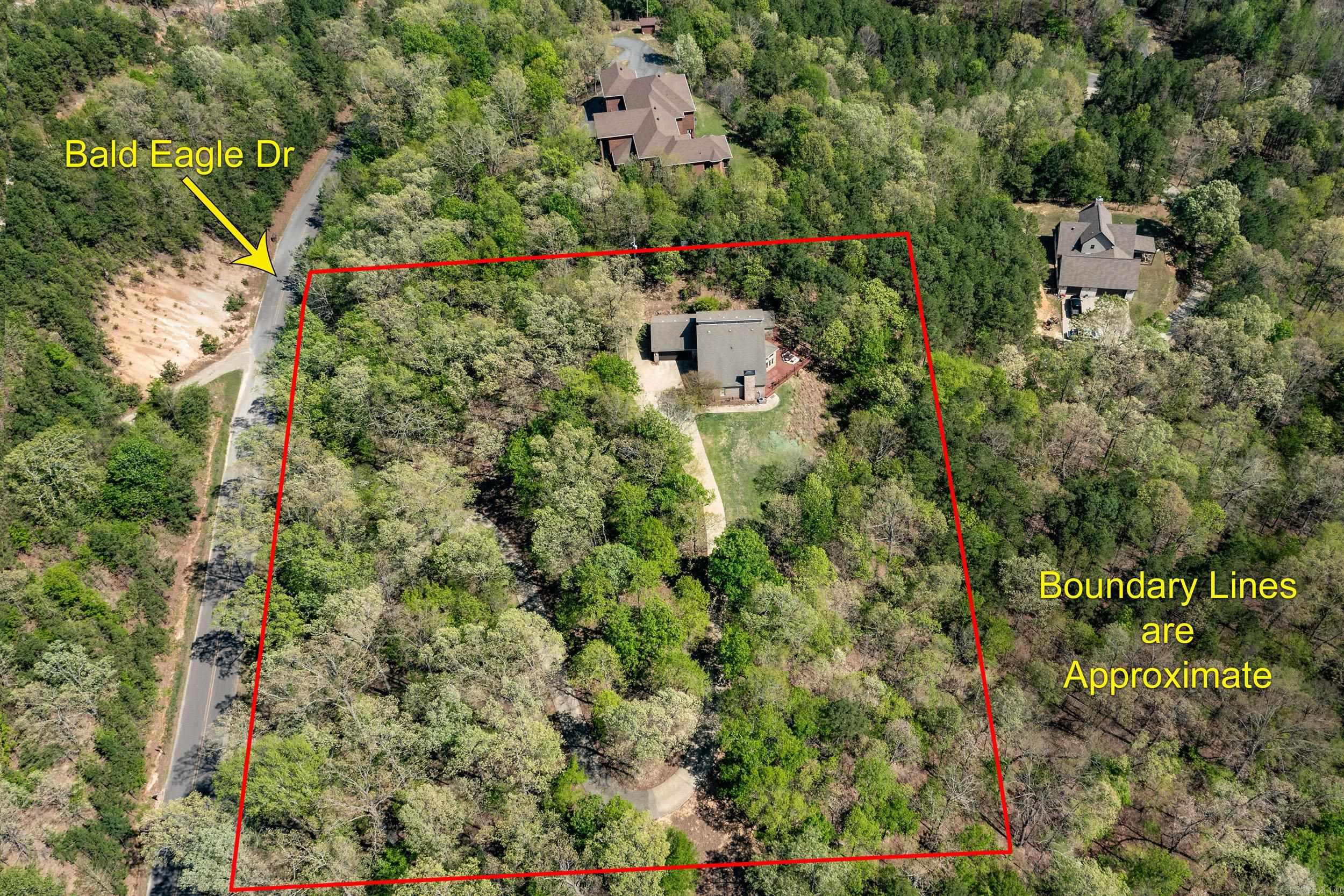 46  Bald Eagle  Paron, AR