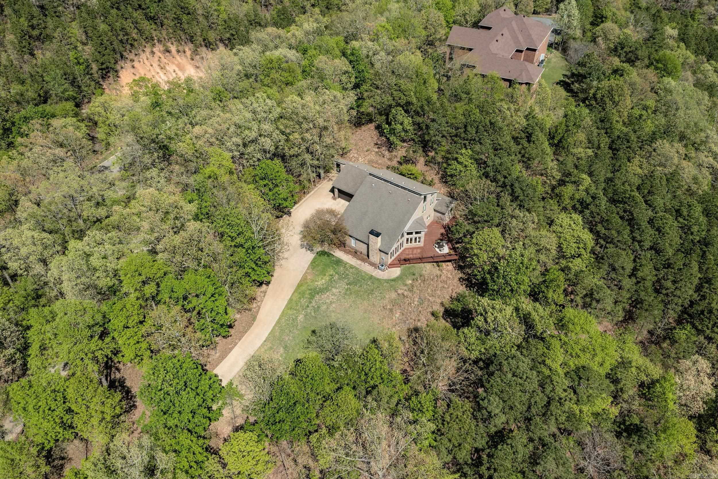 46  Bald Eagle  Paron, AR