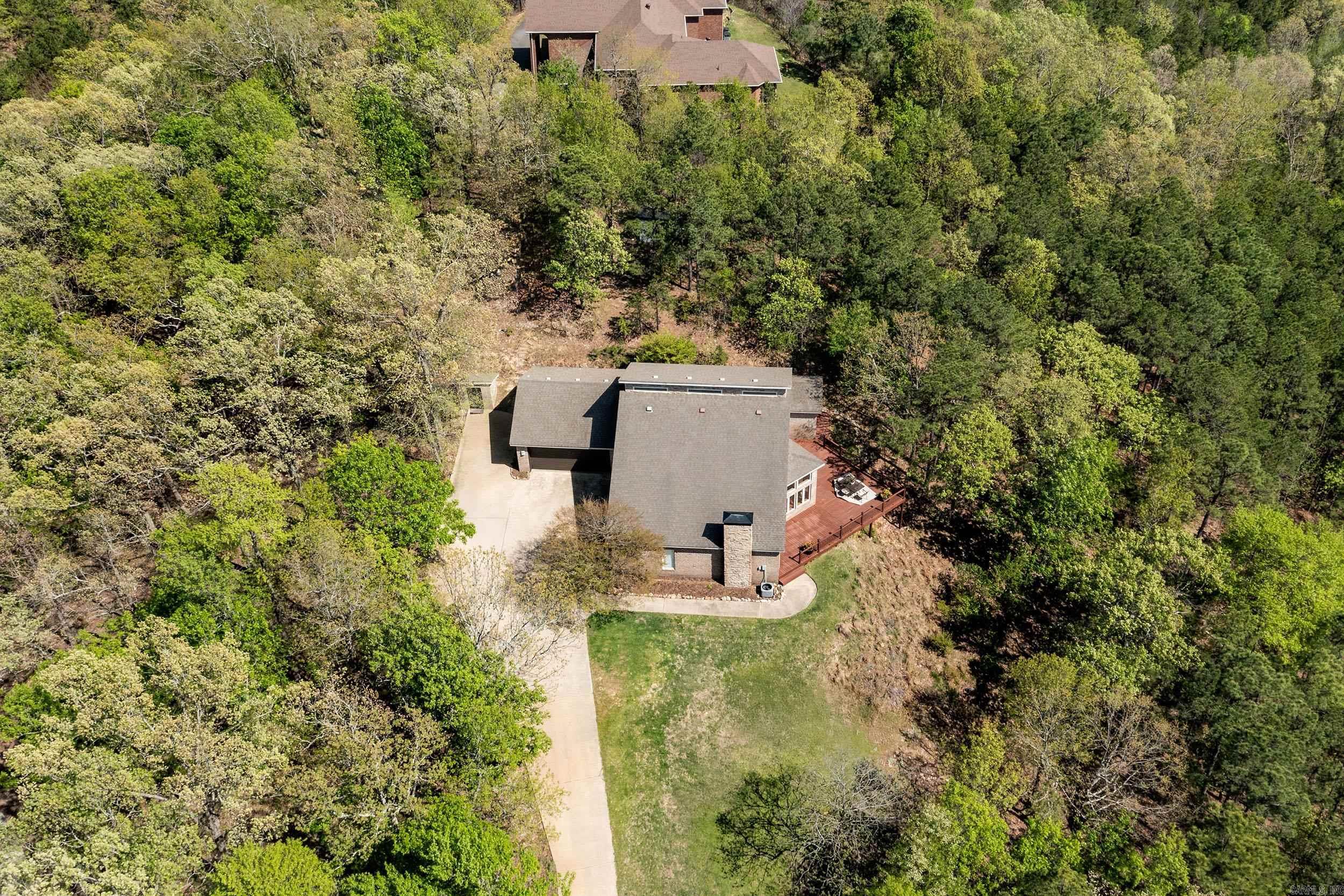 46  Bald Eagle  Paron, AR