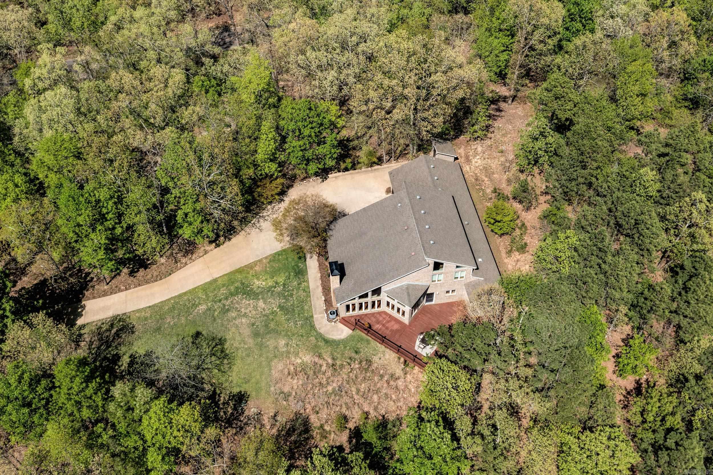 46  Bald Eagle  Paron, AR