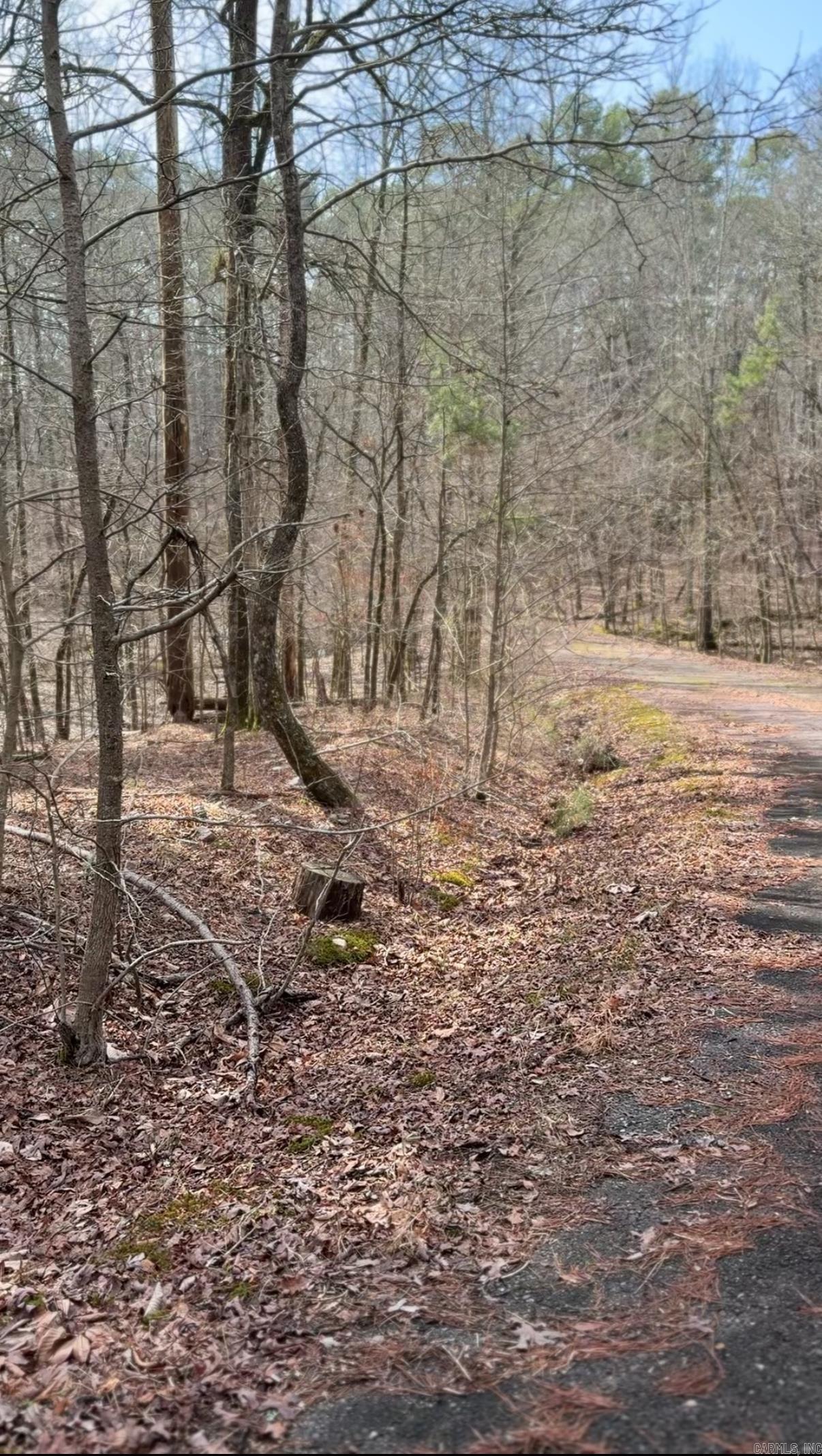 6  Dador  Hot Springs Village, AR