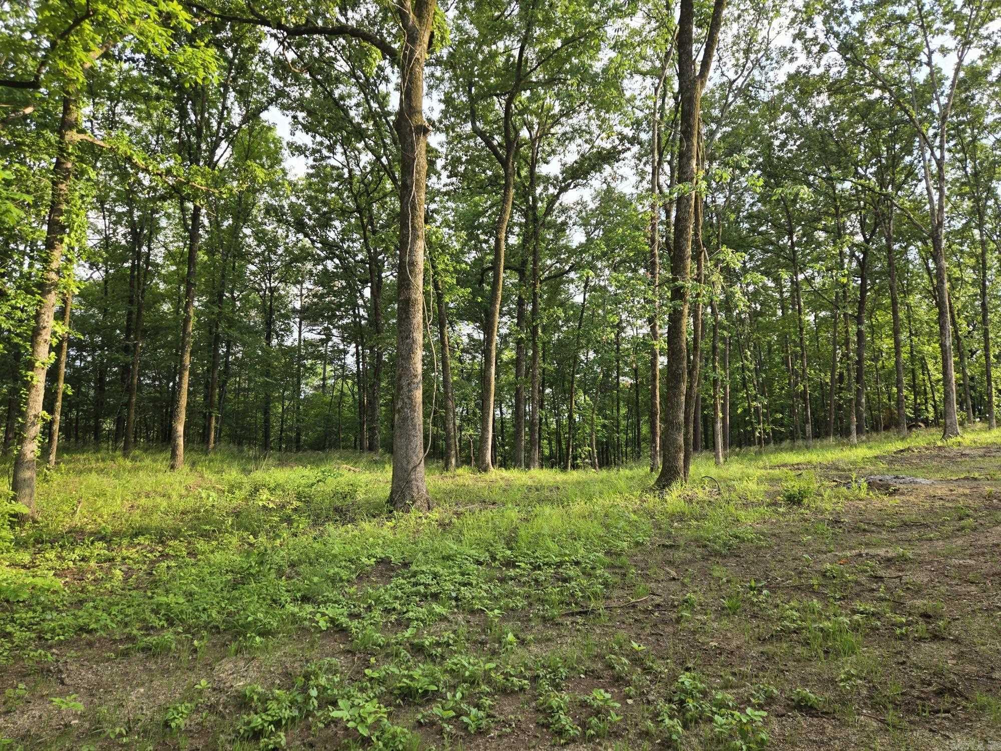 109  Diamondhead  Hot Springs, AR