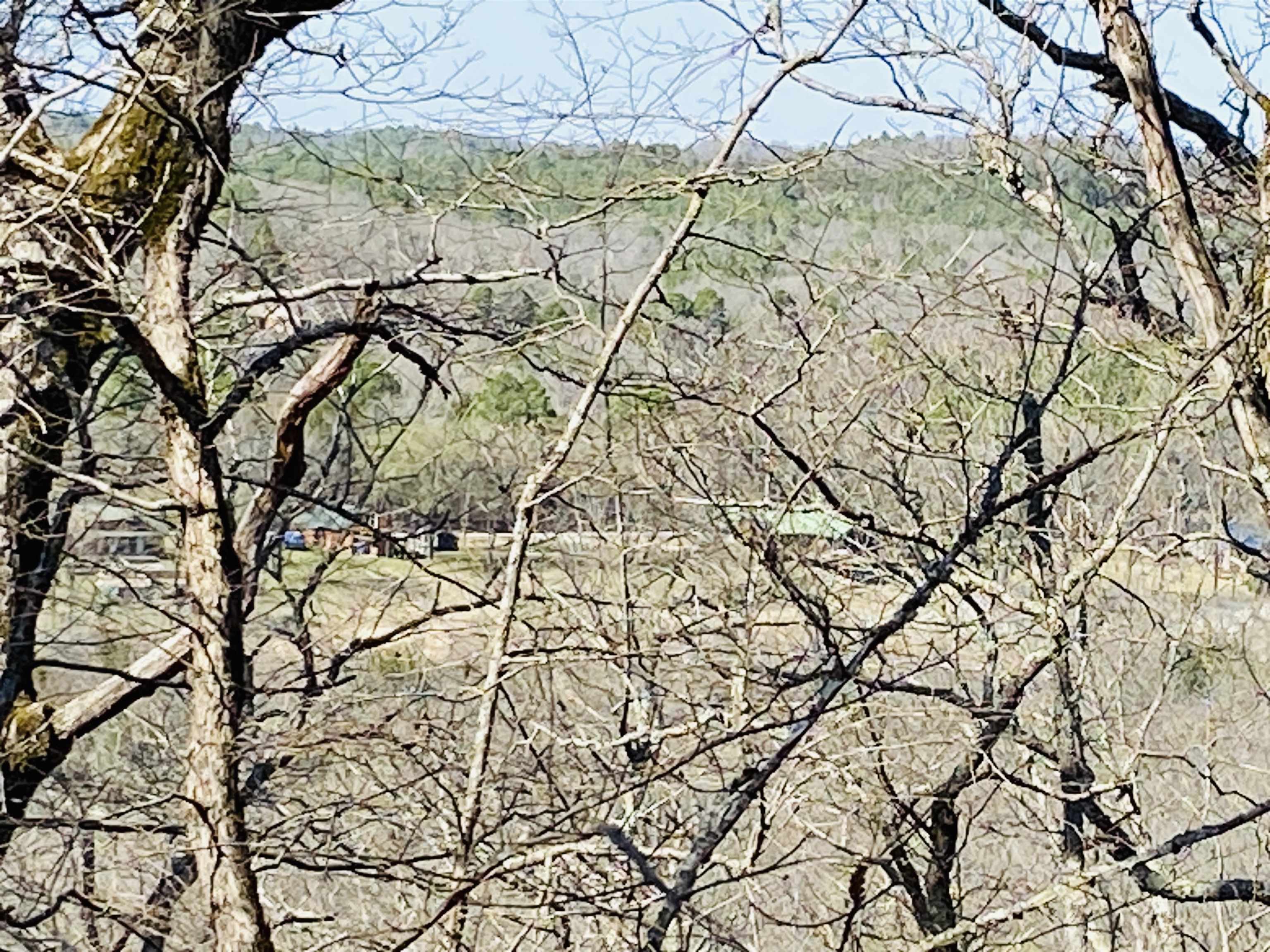 222  Culp  Calico Rock, AR