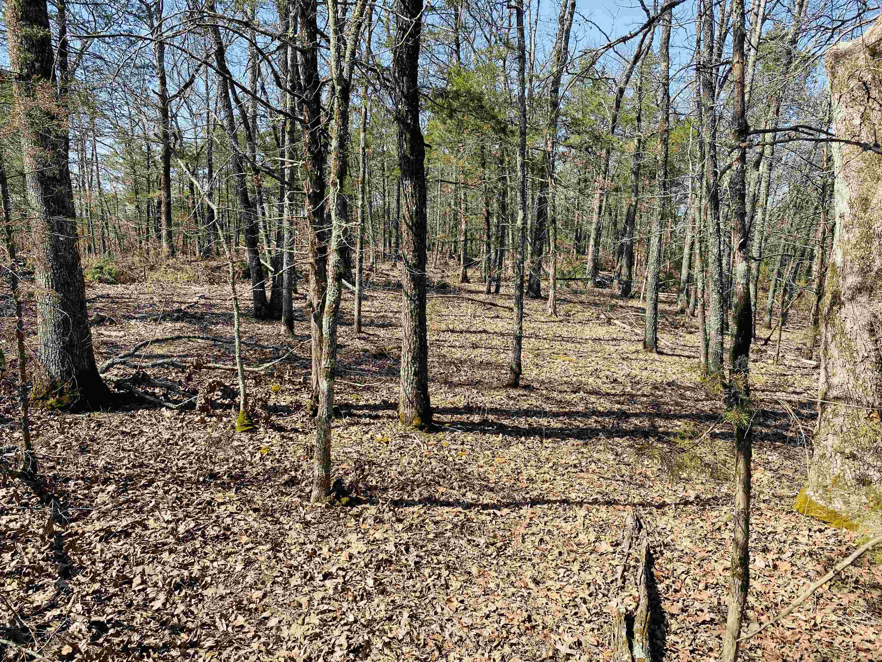 222  Culp  Calico Rock, AR