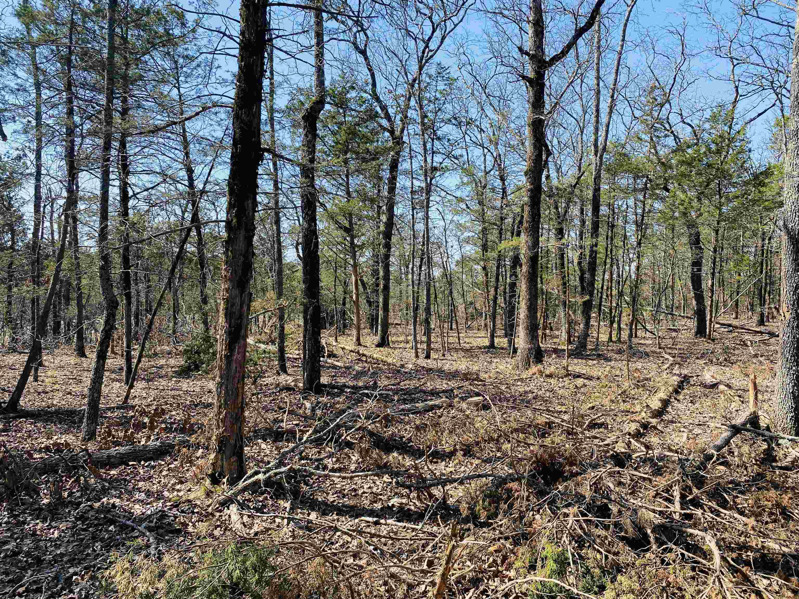 222  Culp  Calico Rock, AR