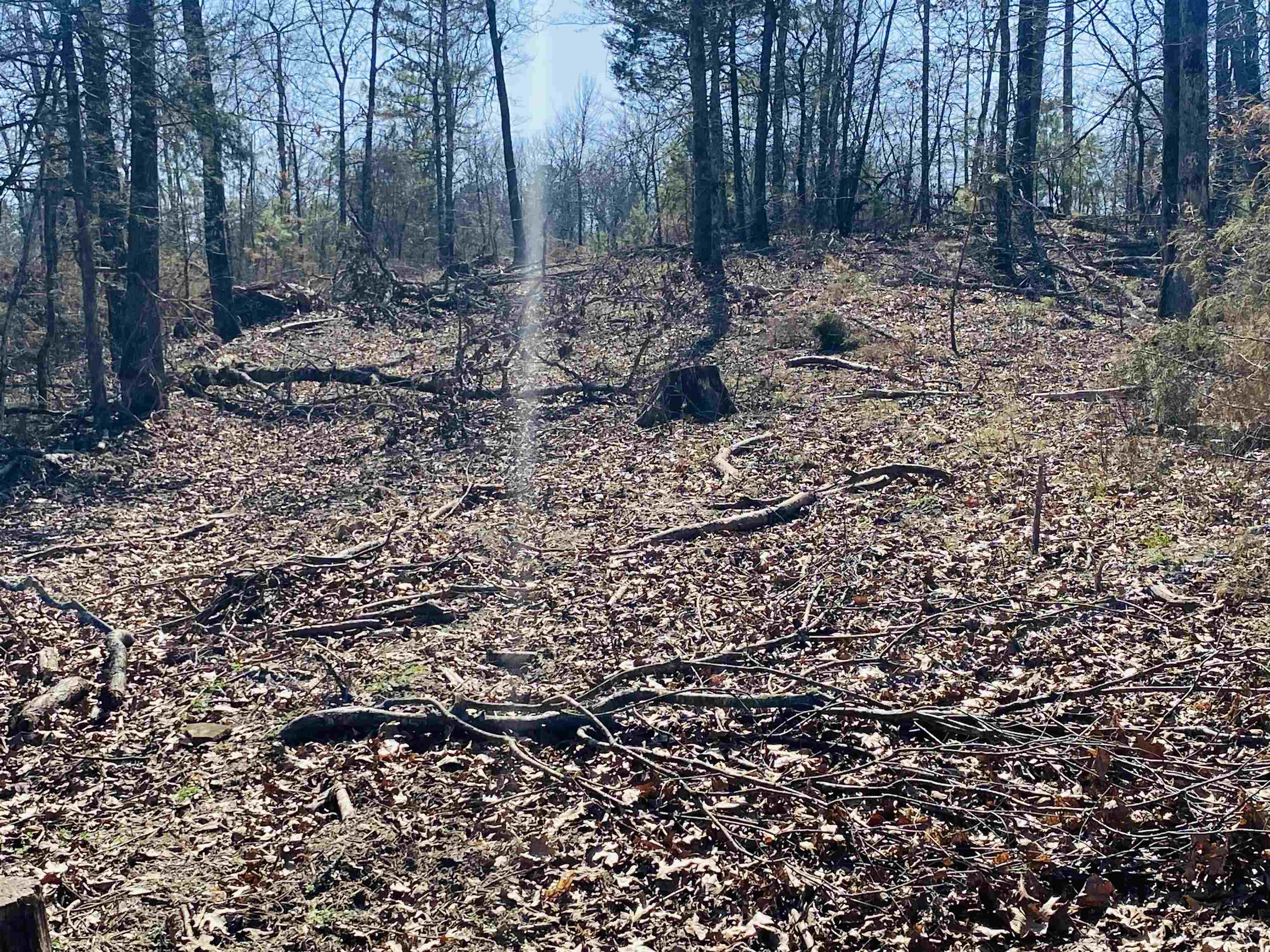 222  Culp  Calico Rock, AR