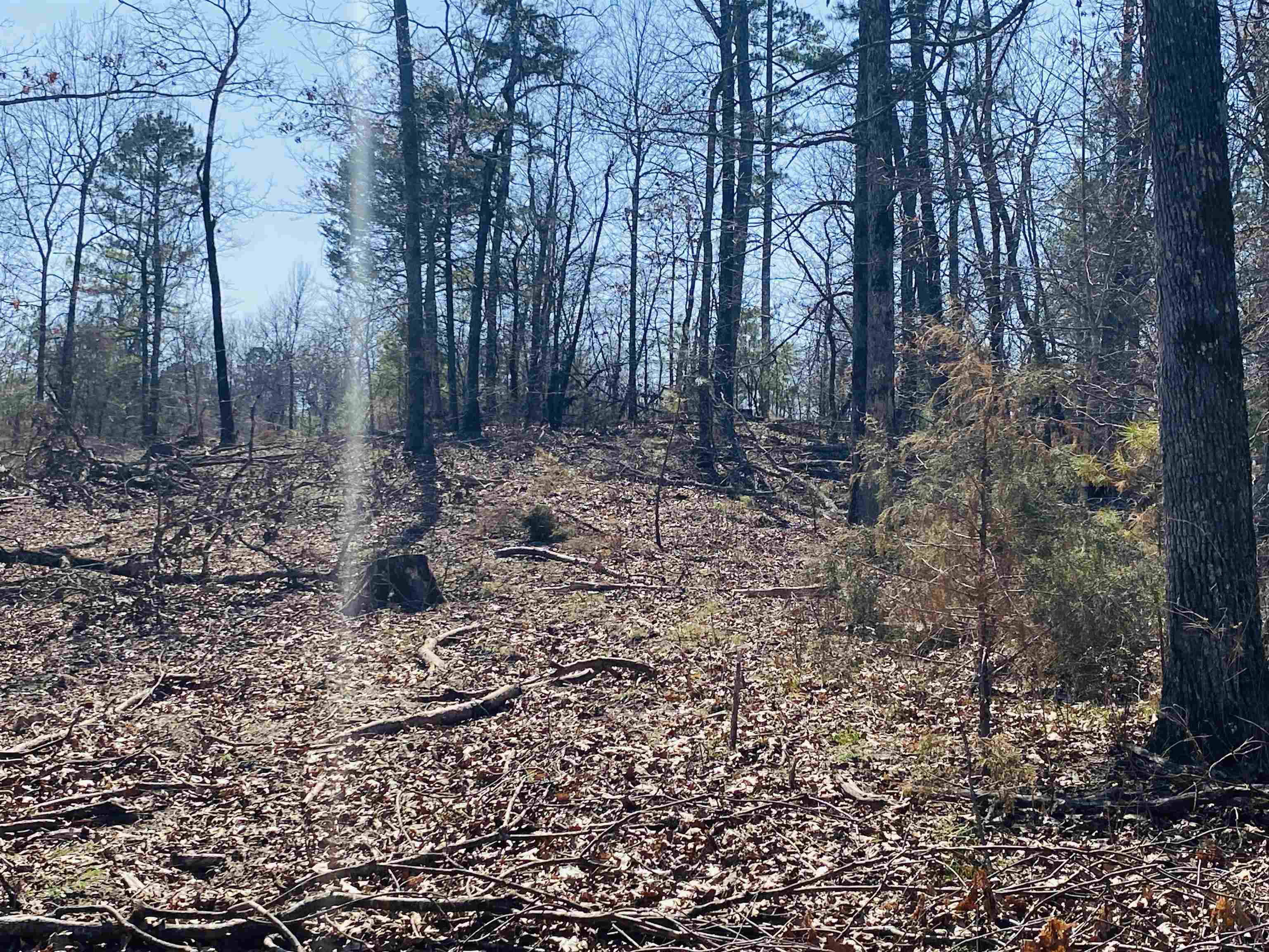 222  Culp  Calico Rock, AR