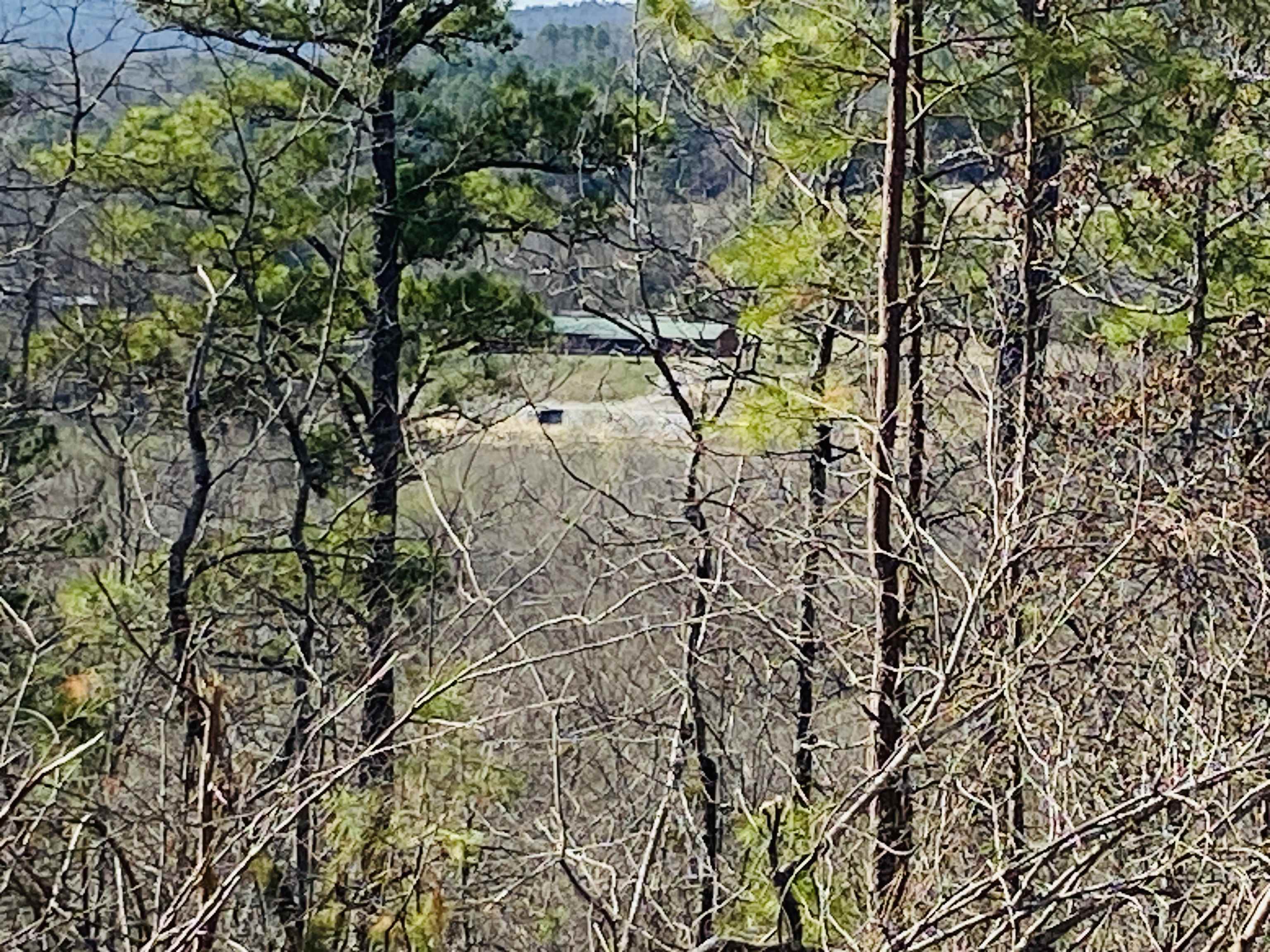 222  Culp  Calico Rock, AR