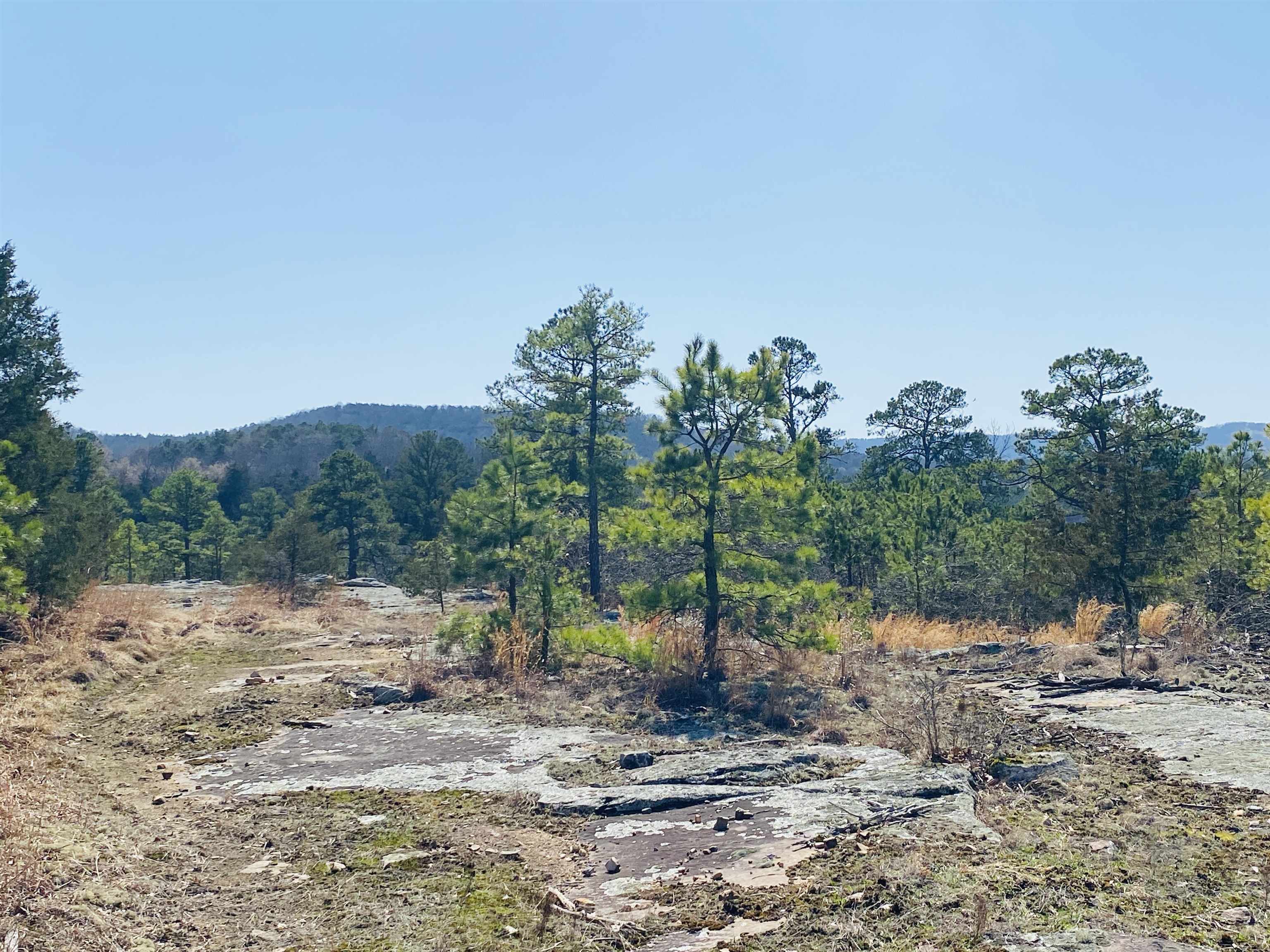 222  Culp  Calico Rock, AR