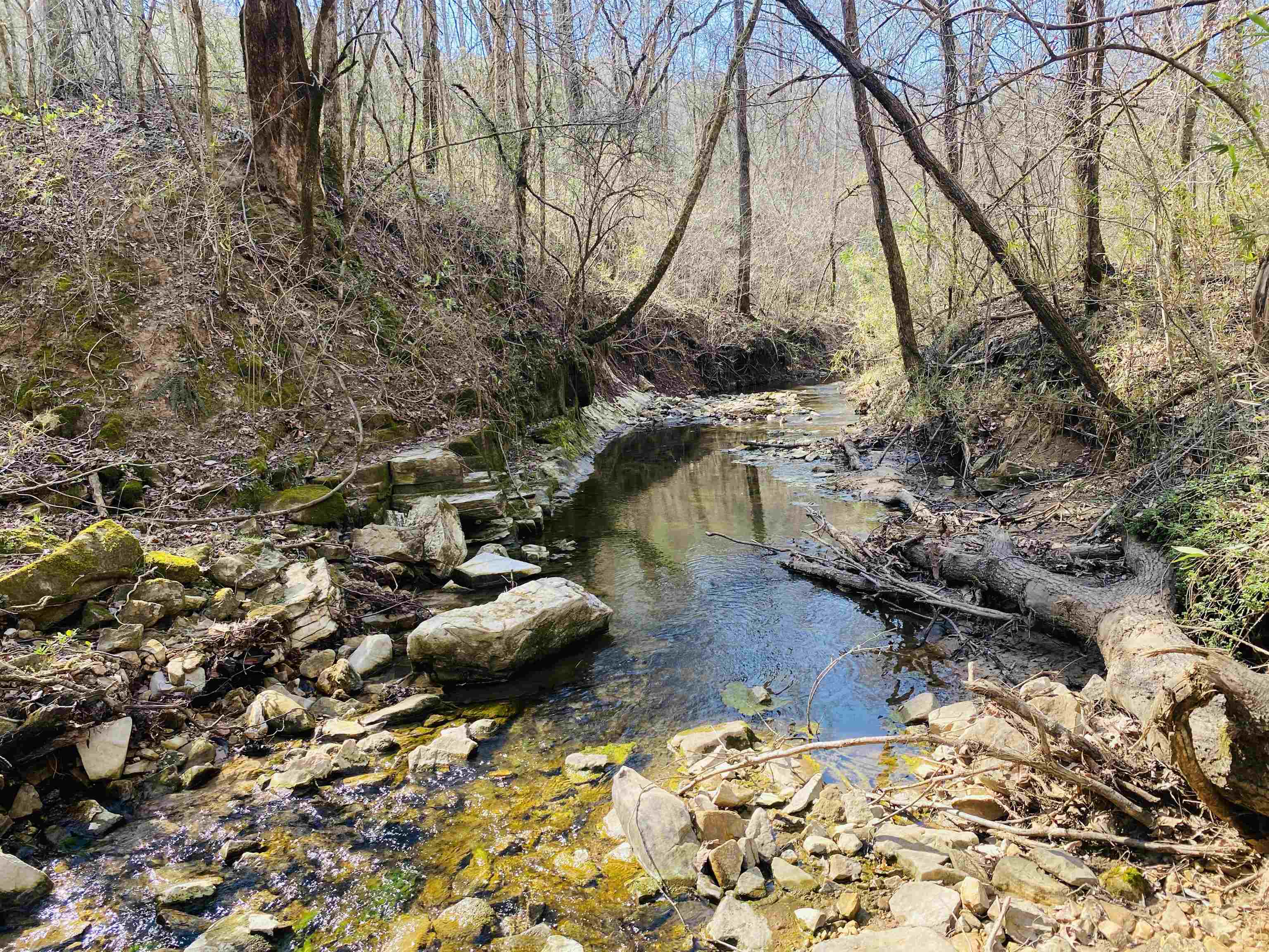222  Culp  Calico Rock, AR