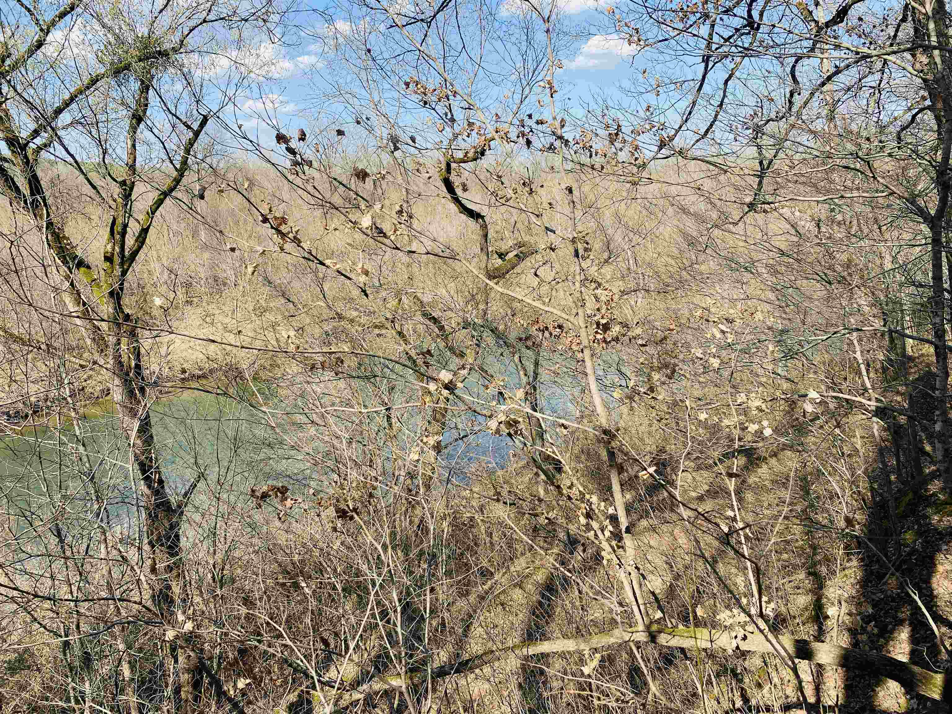 222  Culp  Calico Rock, AR