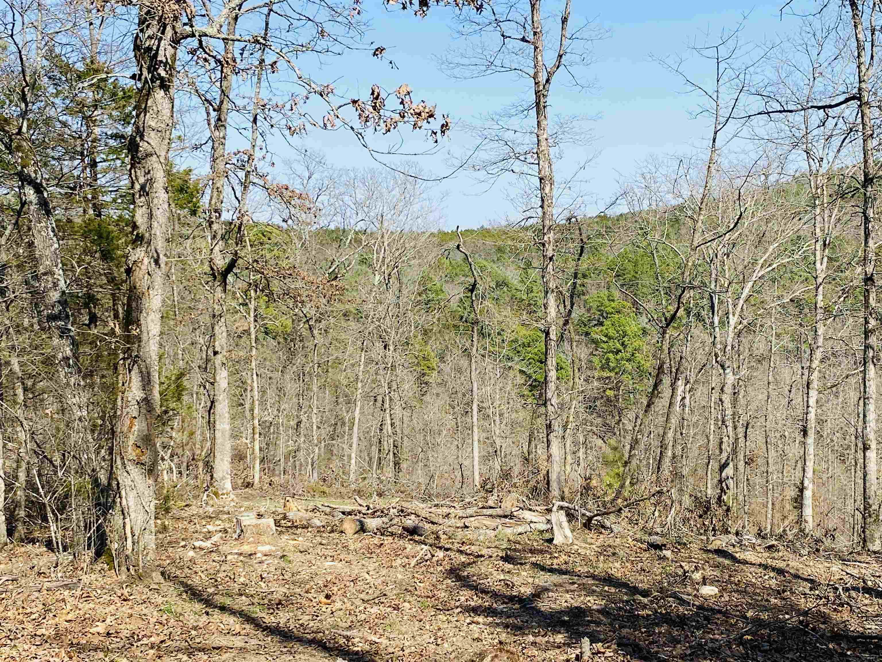 222  Culp  Calico Rock, AR