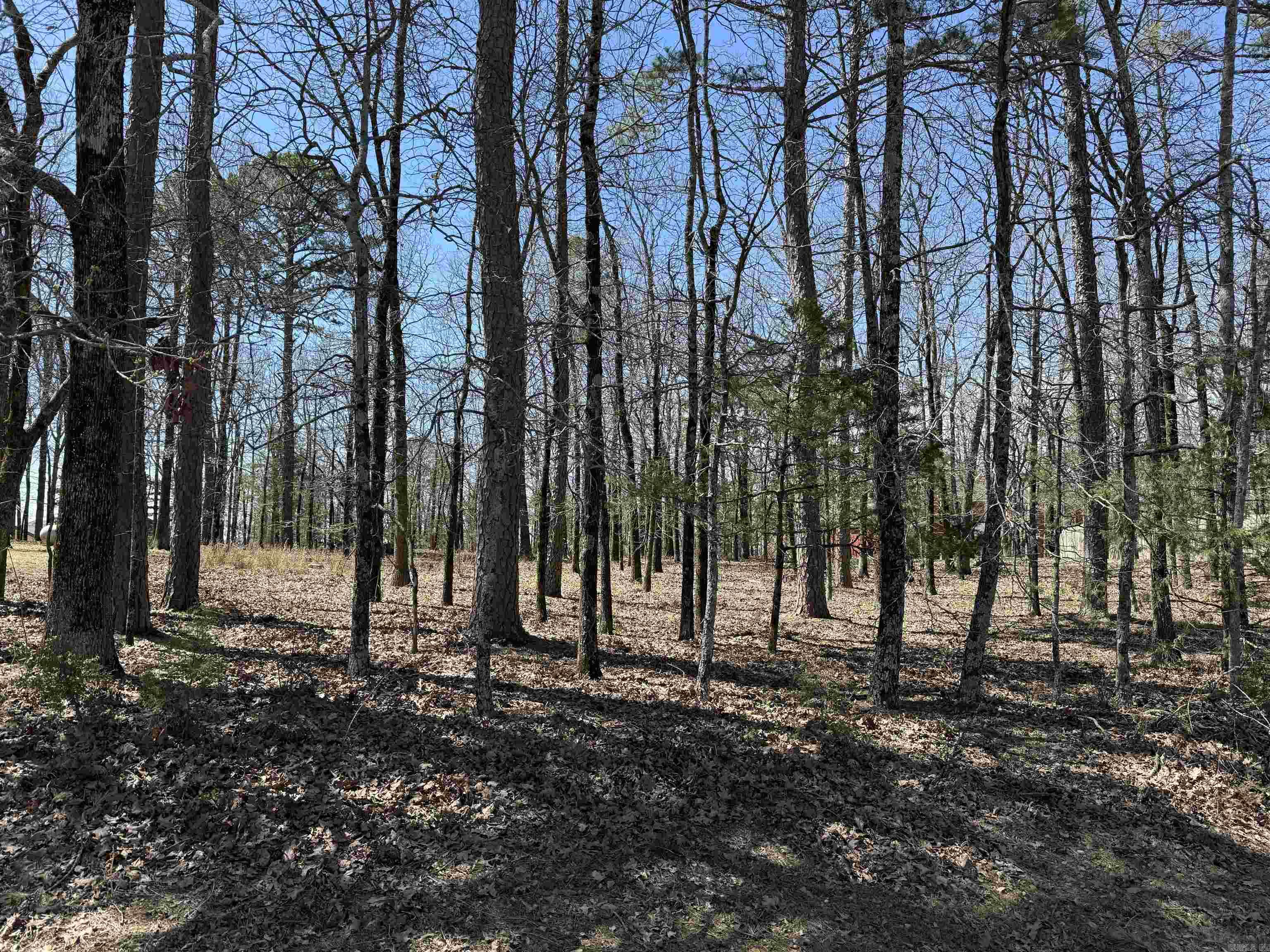 000  Eagle Ridge Trace  Fairfield Bay, AR