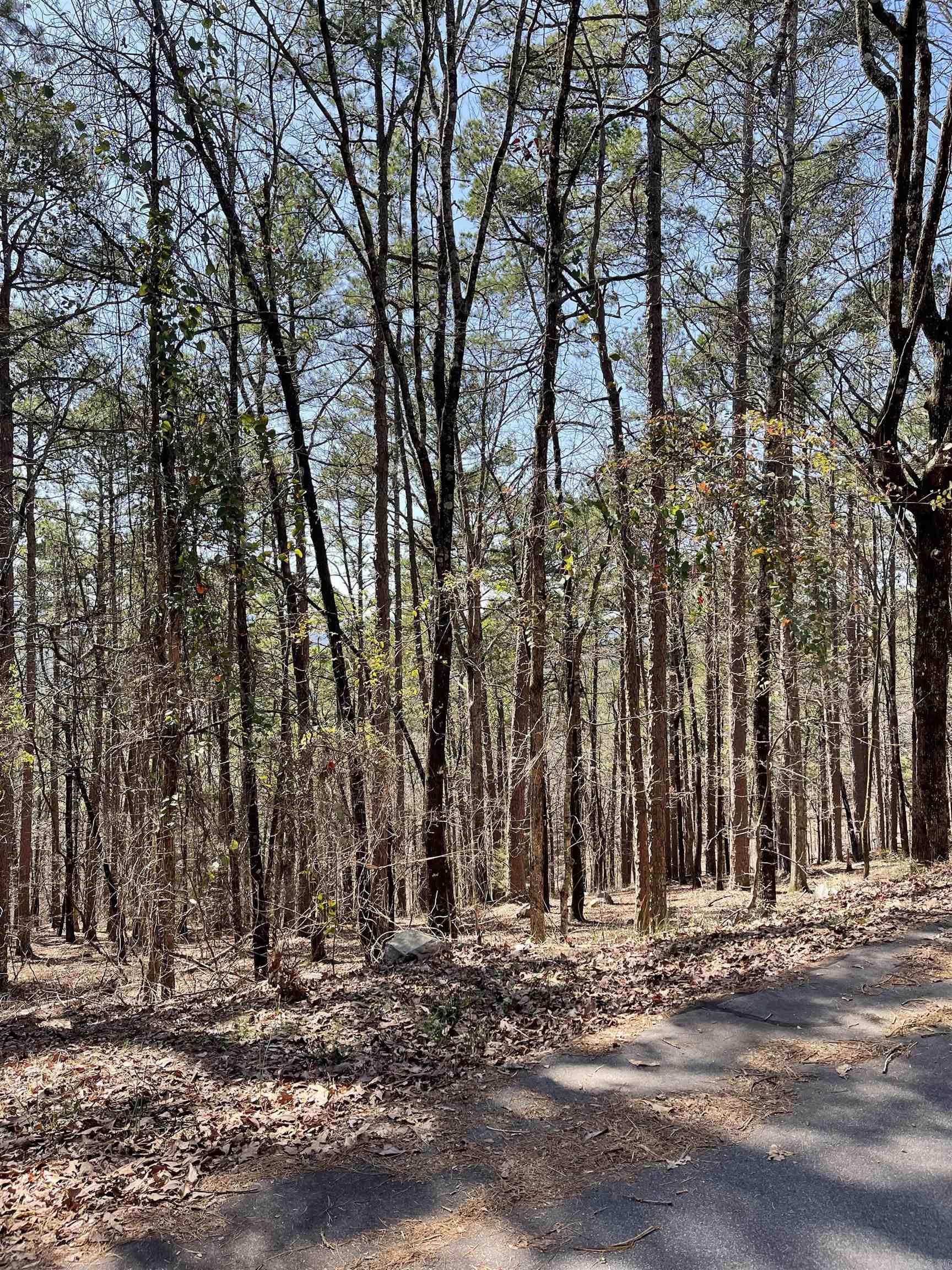 57  Cordoba Way  Hot Springs Village, AR