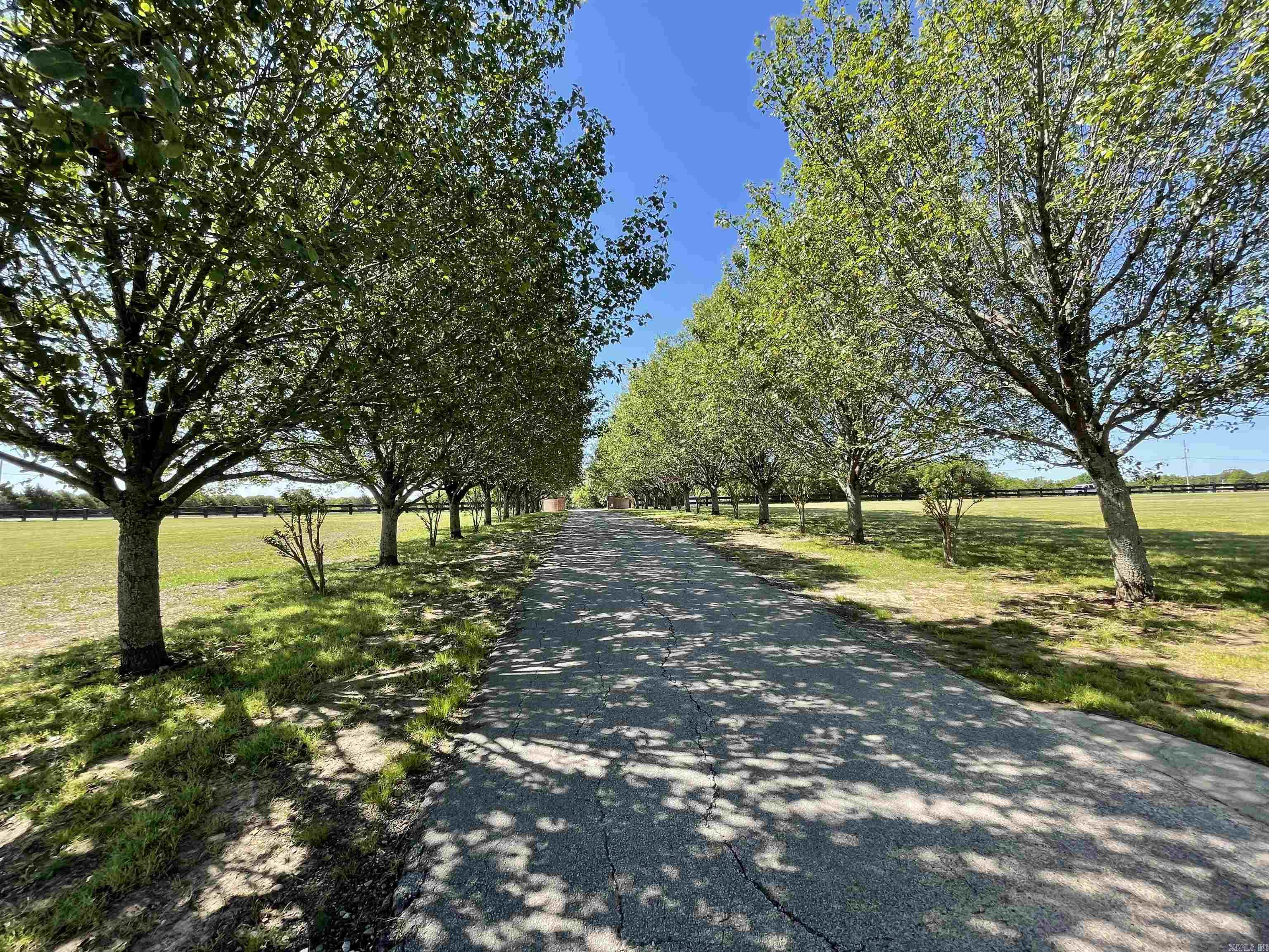 571  Honeysuckle Road  Bald Knob, AR