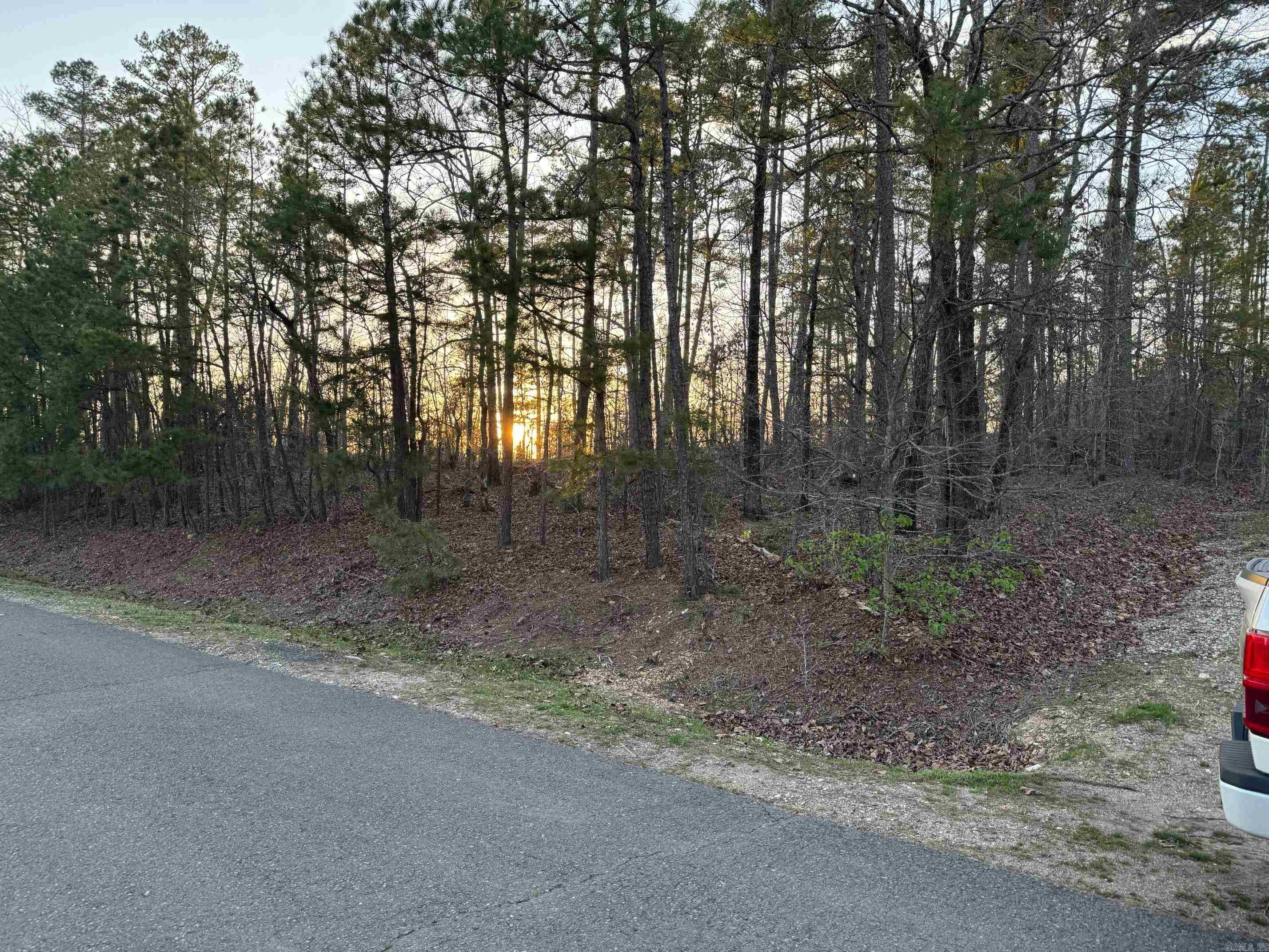5  GANDESA CIRCLE  Hot Springs Village, AR