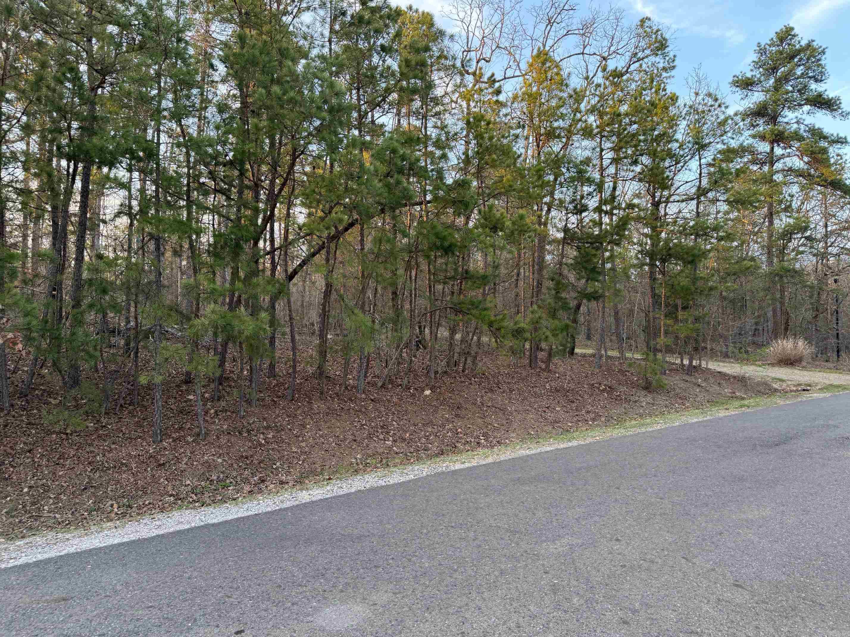 5  GANDESA CIRCLE  Hot Springs Village, AR