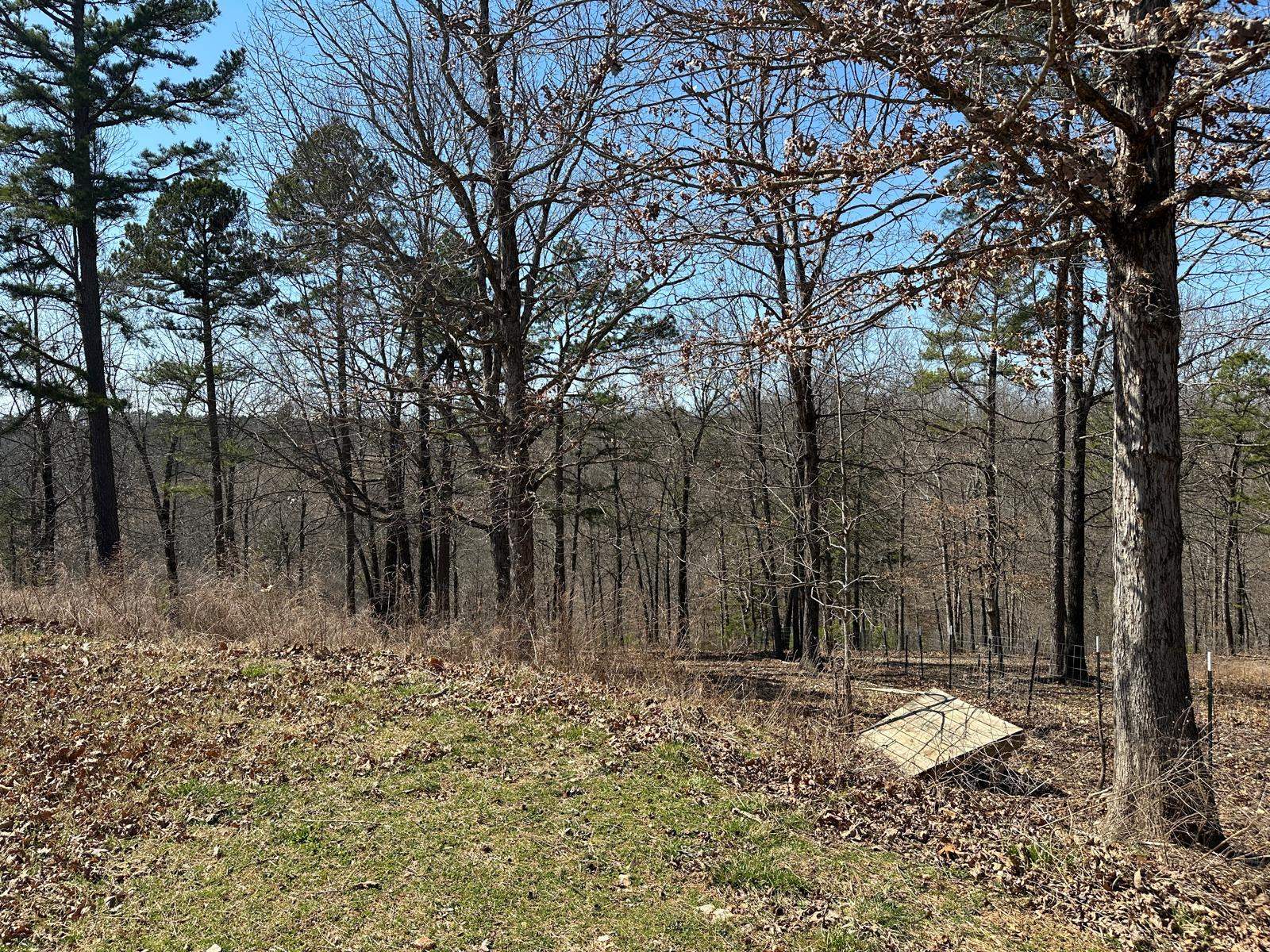 231  Jones Road  Yellville, AR