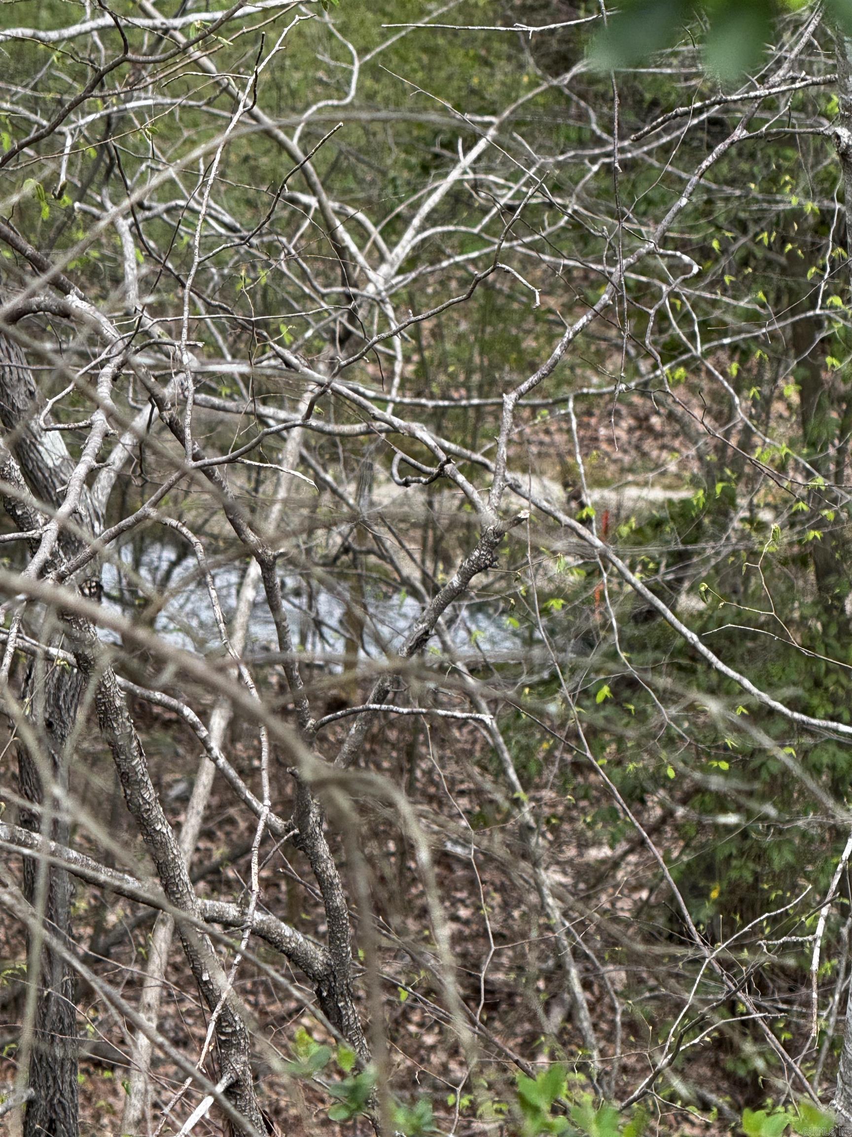 Lot 31  Forest View  Hot Springs, AR