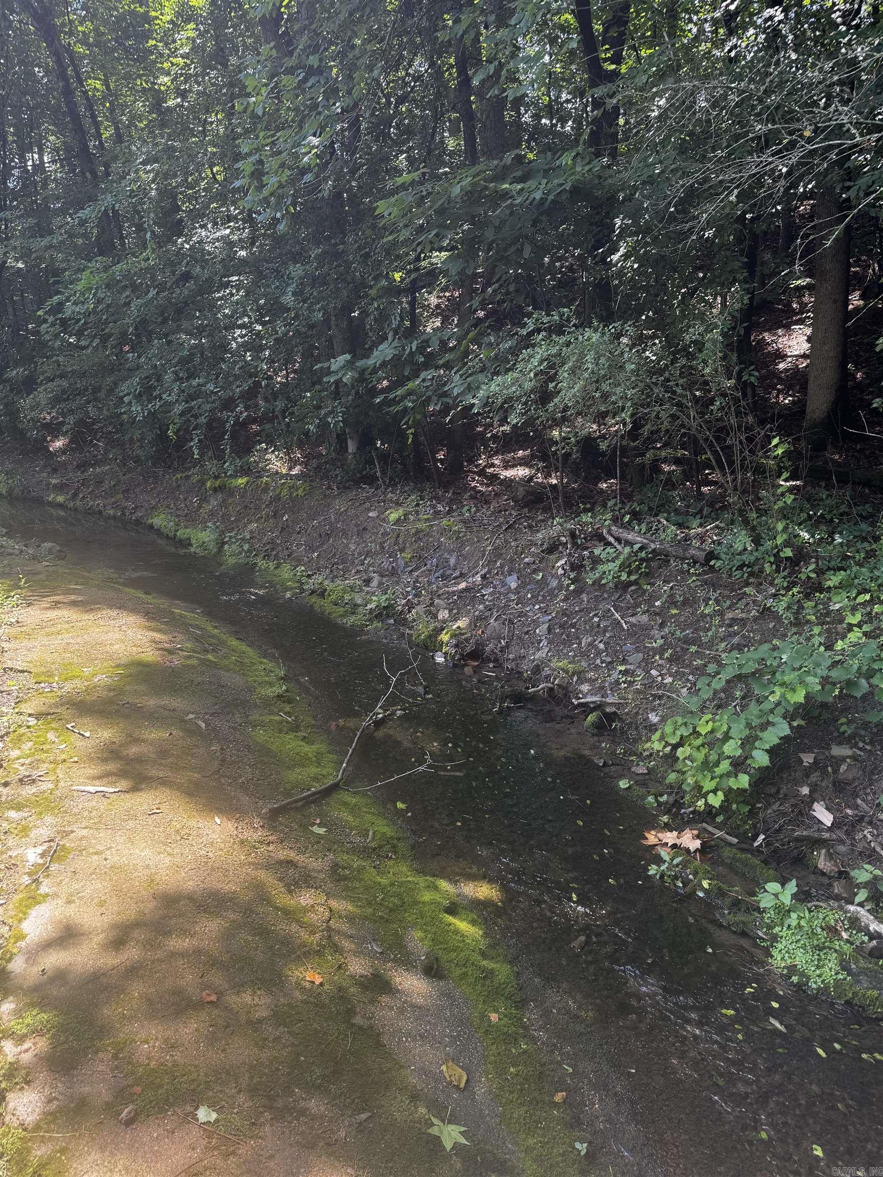 Lot 31 Forest View  Hot Springs, AR