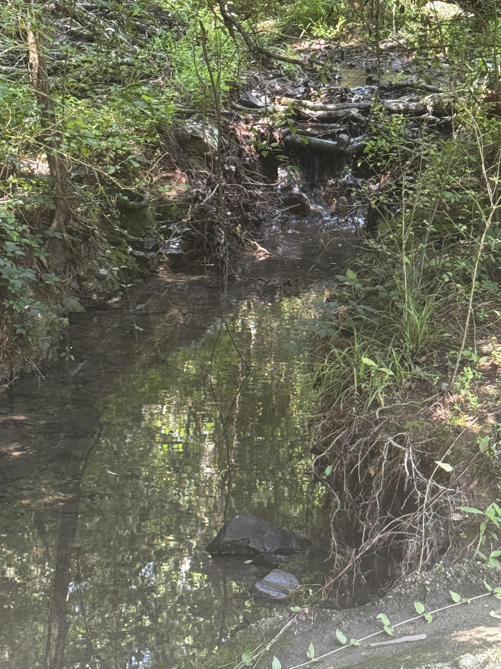 Lot 31 Forest View  Hot Springs, AR
